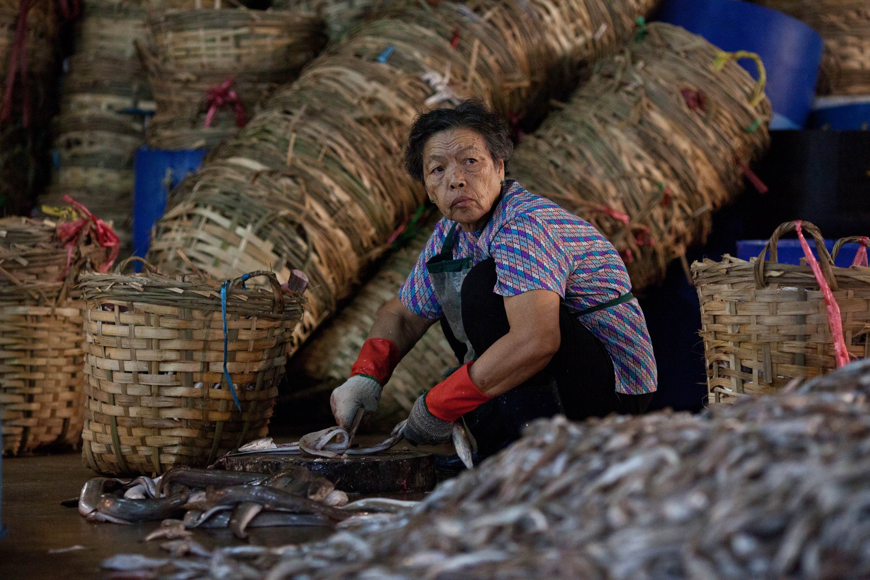 An elderly woman slicing fish with a cleaver at Aberdeen Wholesale Fish Market in Hong Kong. Photo: AFP