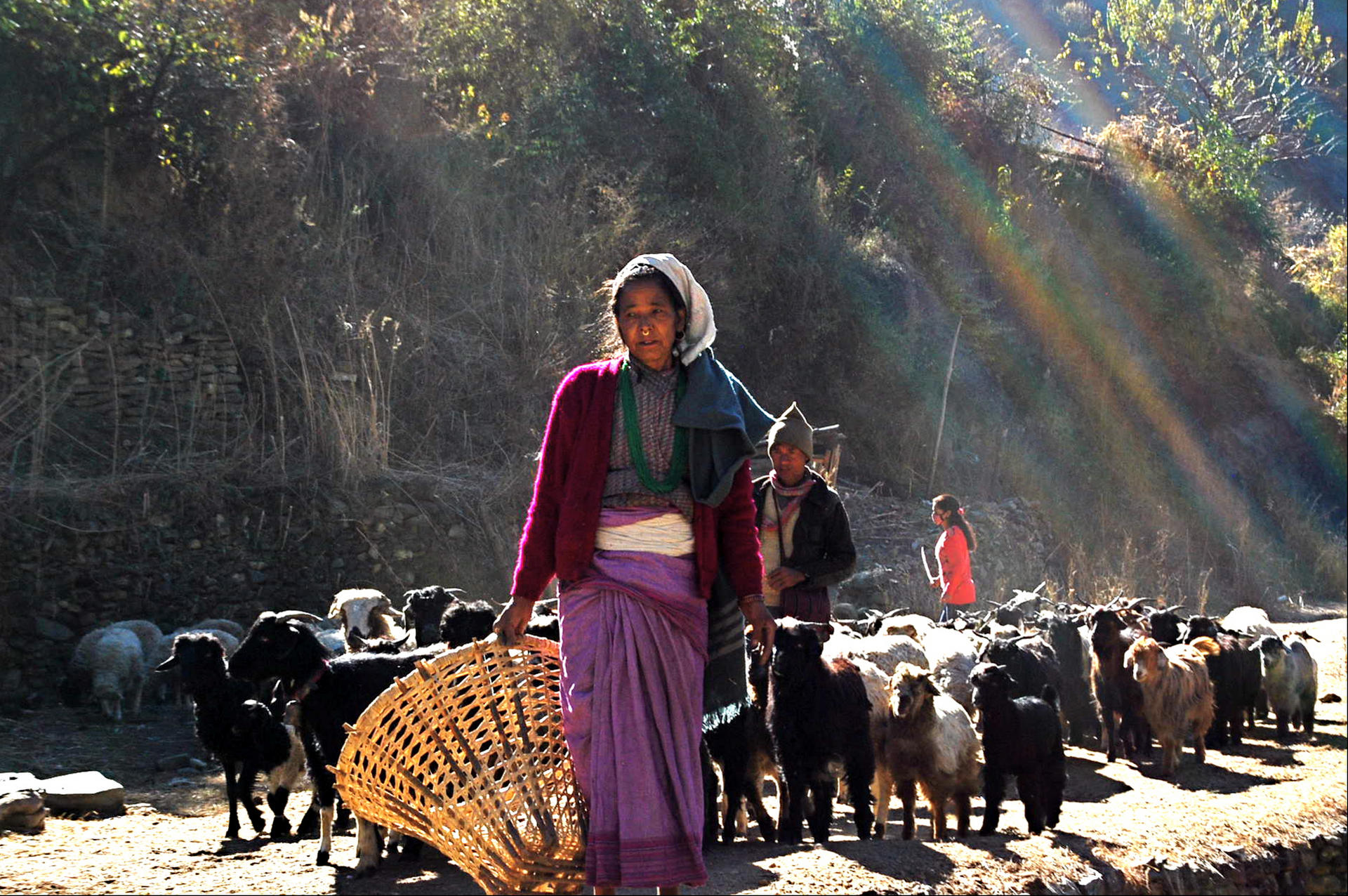 Bishnu Buda balances her household work with her role as a primary health-care provider in Nepal's Jumla district. Photo: Bibek Bhandari