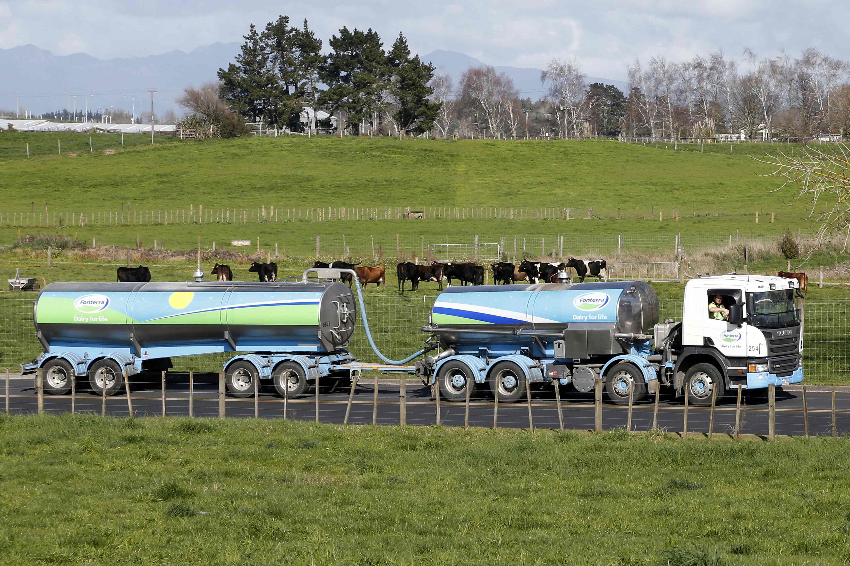 A Fonterra milk tanker arriving at the dairy company's Te Rapa plant in New Zealand. Photo: Reuters