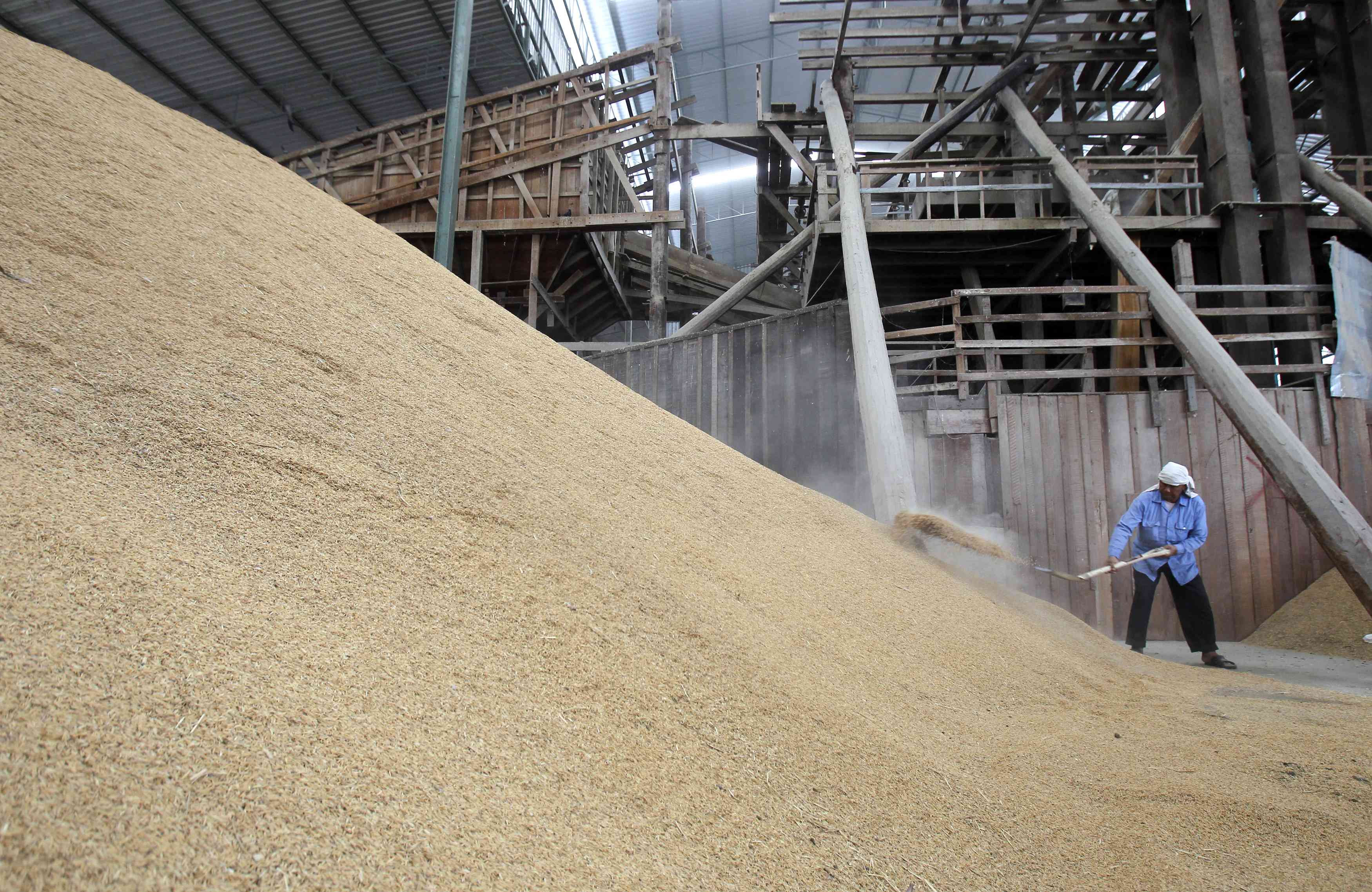 A worker shovels rice husks at a mill in Suphan Buri province. Photo: Reuters