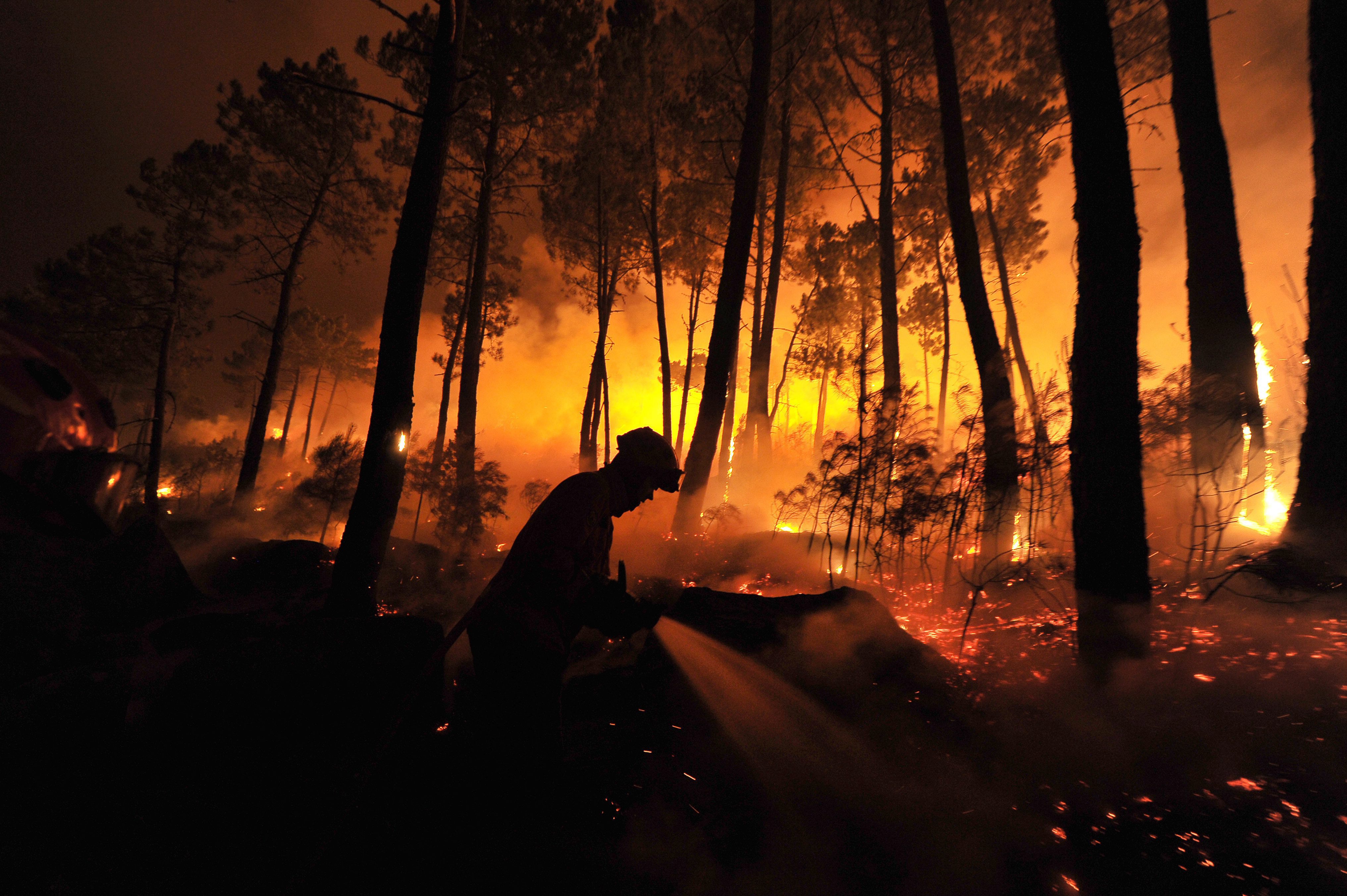 Firemen are silhouetted against the flames as they fight a forest fire in Portugal during August 2013. Photo: EPA