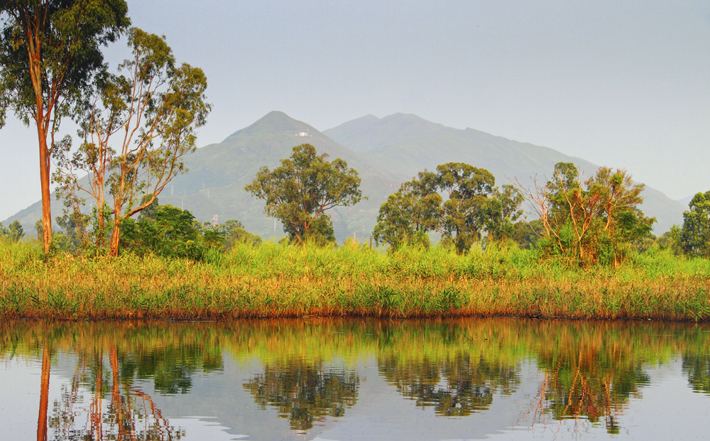 Trees, grass and hills are reflected in a body of water in Nam Sang Wai in Hong Kong. Photo: Martin Williams