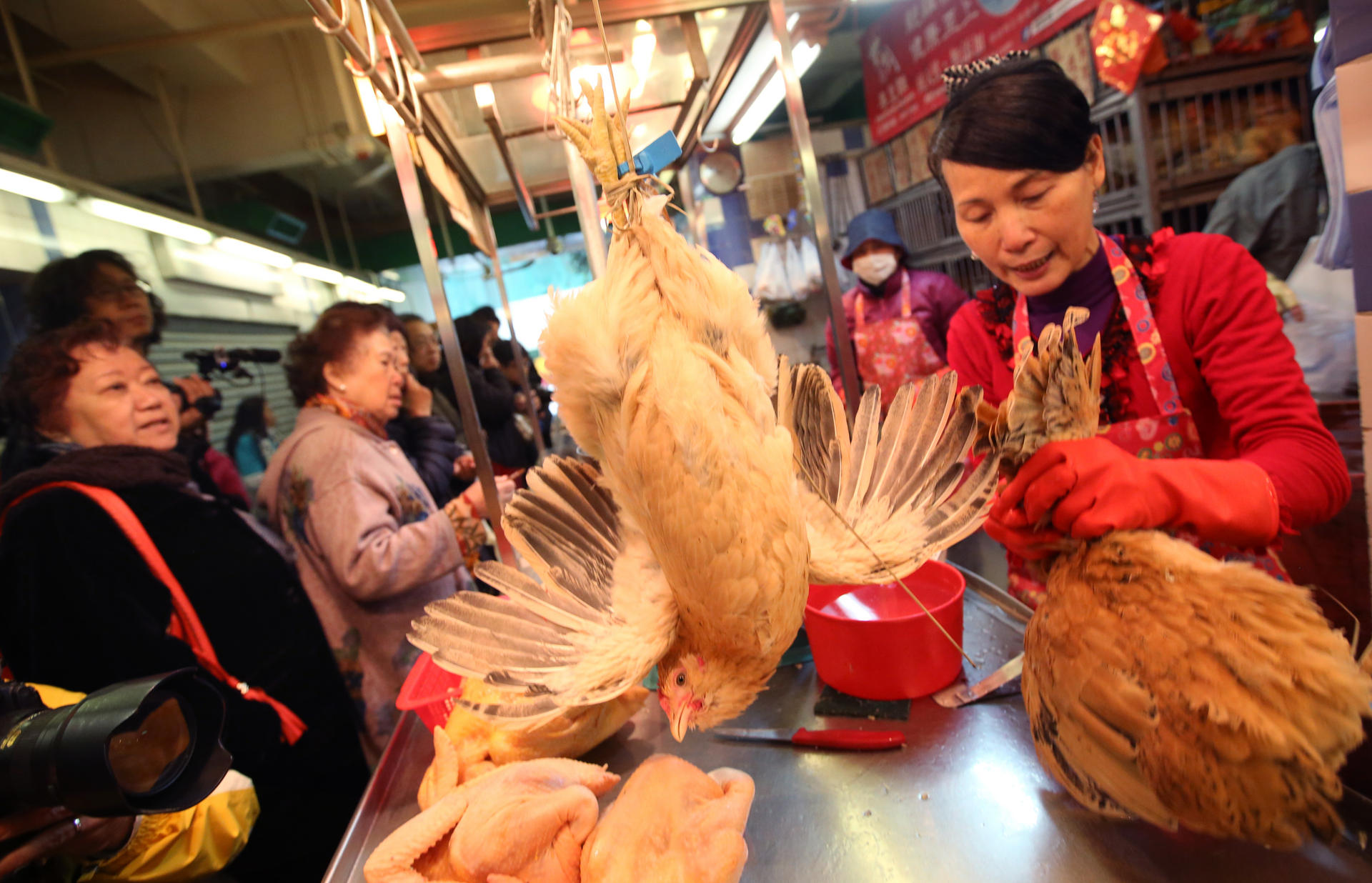 Live local birds back on sale this week. Photo: Sam Tsang