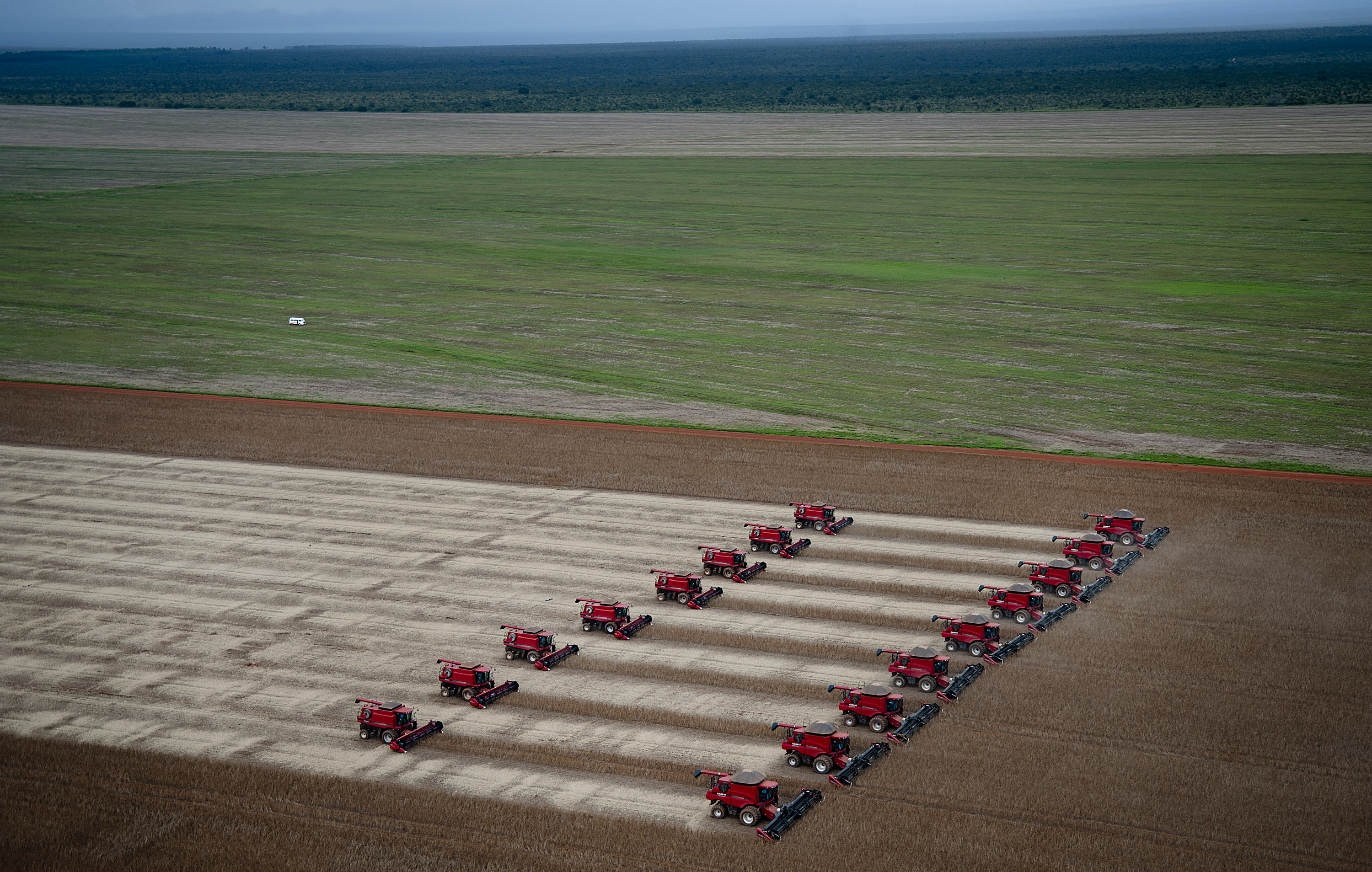 Noble Group's agriculture division reported operating losses of US$83 million, compared with a profit of US$180 million in 2012. Photo: Bloomberg