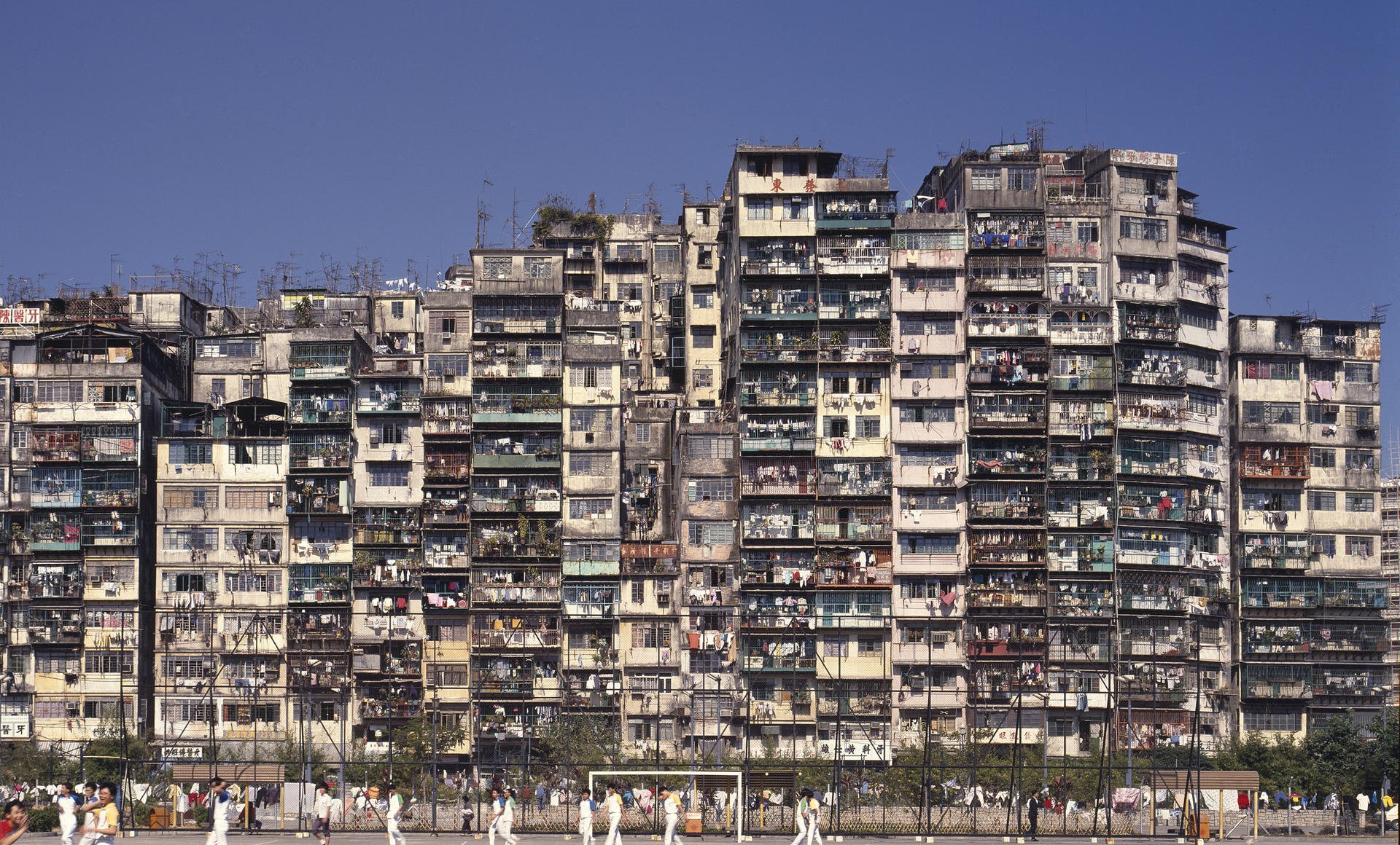 Kowloon Walled City was architecture without architects.Photo: Ian Lambot, from City of Darkness Revisited