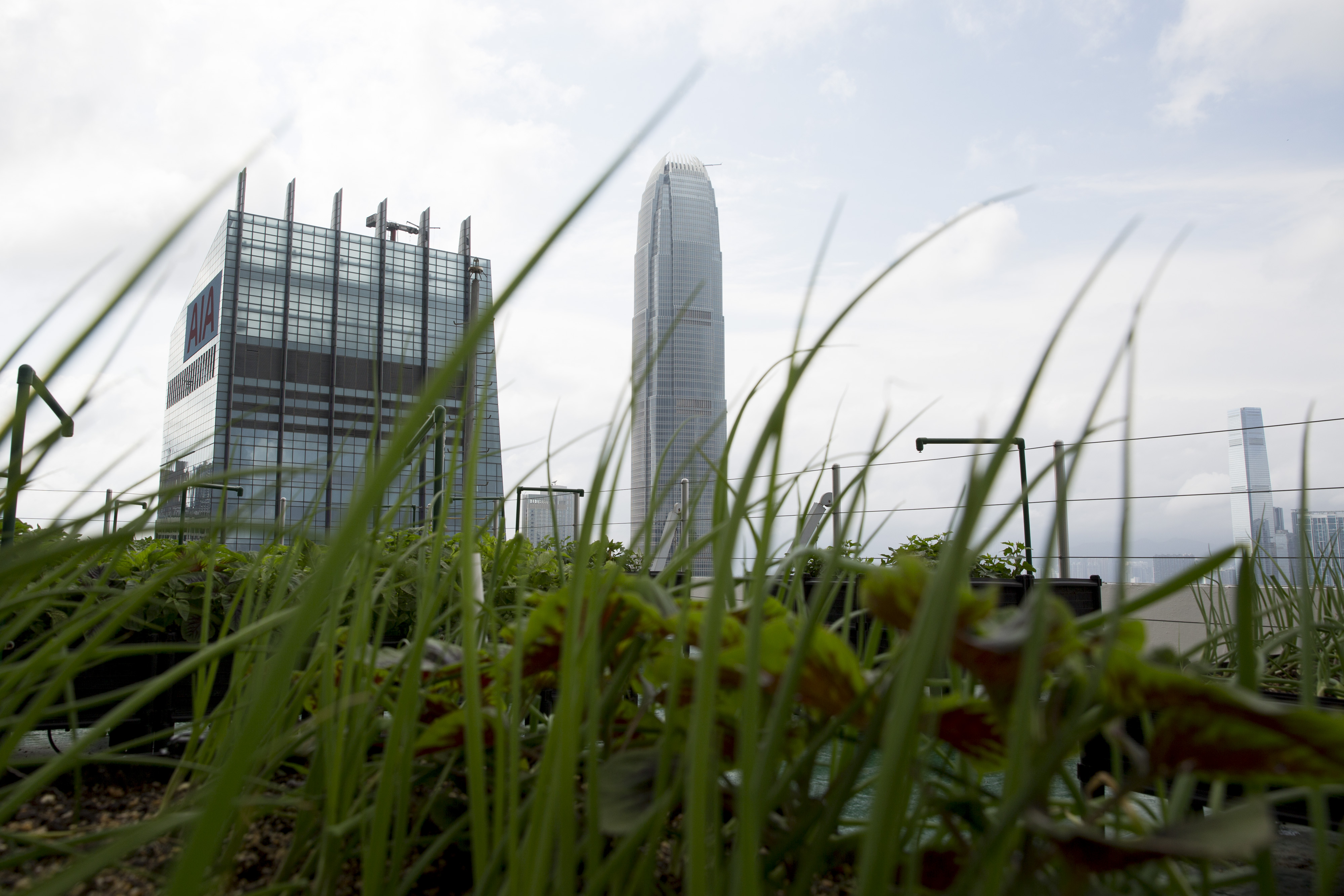 There is a demand for community urban farms. Photo: Bloomberg