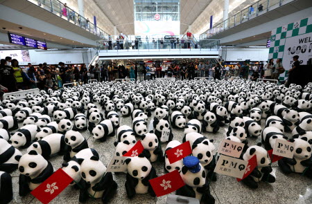 Some of the 1,600 papier-mâchè pandas meet their public at the airport before beginning a tour of the city and a spell at the PMQ arts centre in Central. Photo: Felix Wong