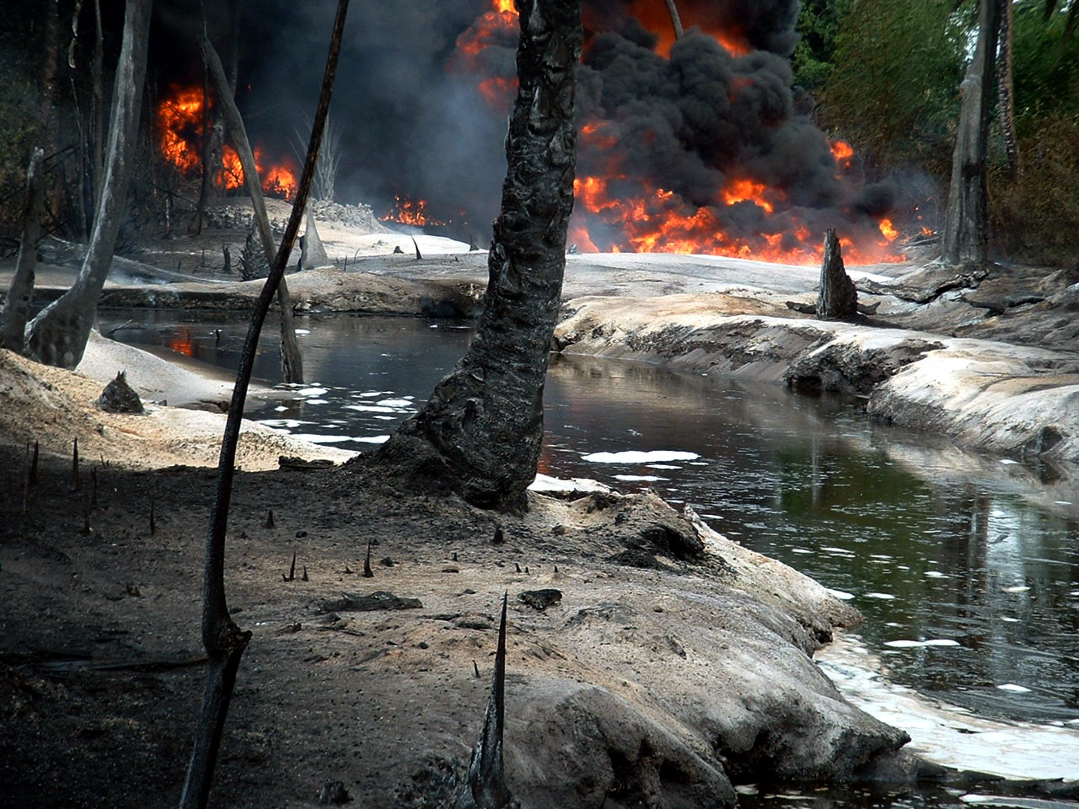 Oil from a leaking pipeline burns in Goi-Bodo, a swamp area of the Niger Delta. Photo: Reuters 