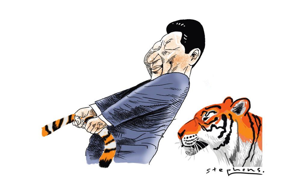 Since the founding of the party, China's leaders have not shunned from making an example of tigers. 