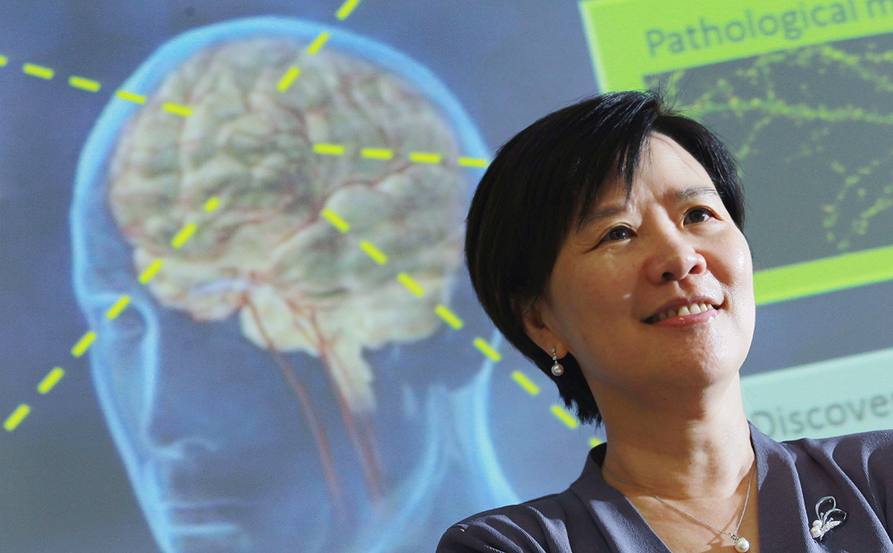 Professor Nancy Ip, of the University of Science and Technology, hopes a new drug based on her team's research can be developed within five to 10 years. Photo: Dickson Lee
