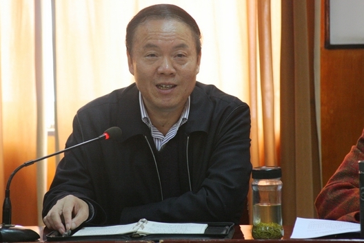 Li Haihua pictured at a government meeting. Photo: Egs.gov.cn