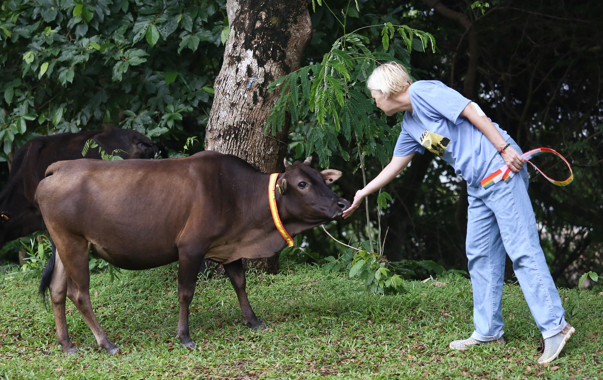 Kathy Daxon of Tai O Community Cattle Group. Photo: Jonathan Wong
