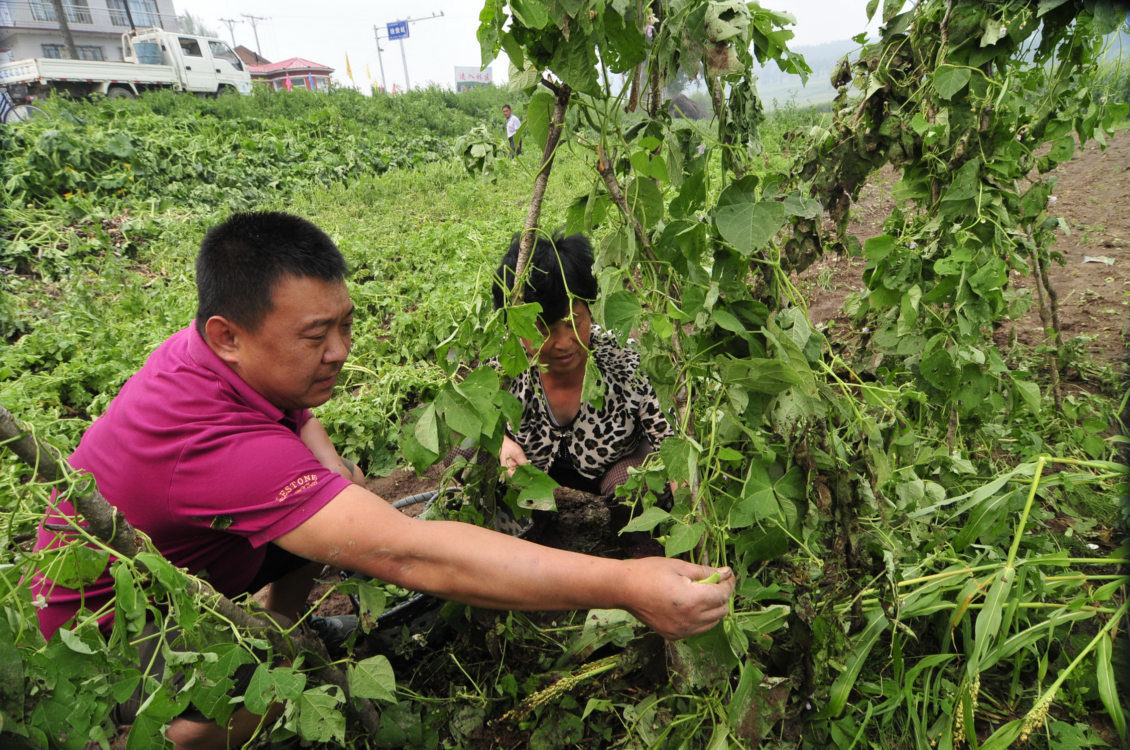 Many Chinese farmers may have to wait six more years for stronger ownership rights. Photo: Xinhua
