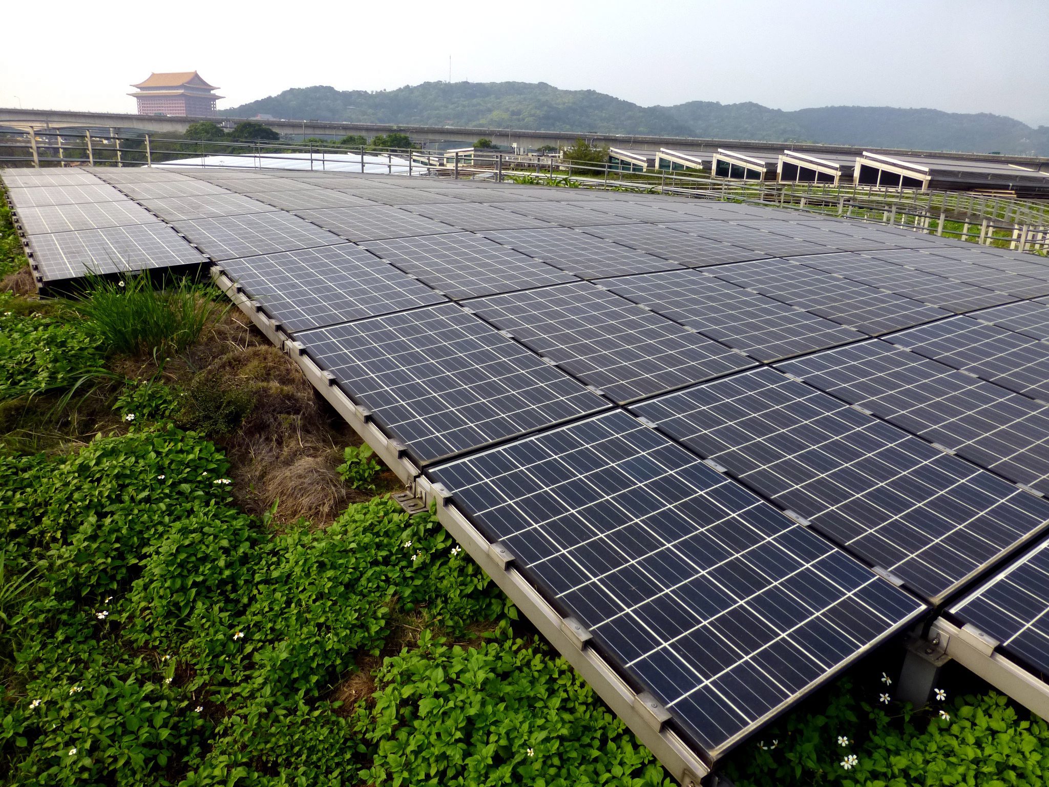 Motech, Taiwan's biggest solar-cell producer, slumped 6.9 per cent to NT$44.40 (HK$11.47), the biggest one-day drop since May 21 last year. Photo: EPA