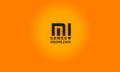 Smartphone sensation Xiaomi dips its toe into the financial services market.