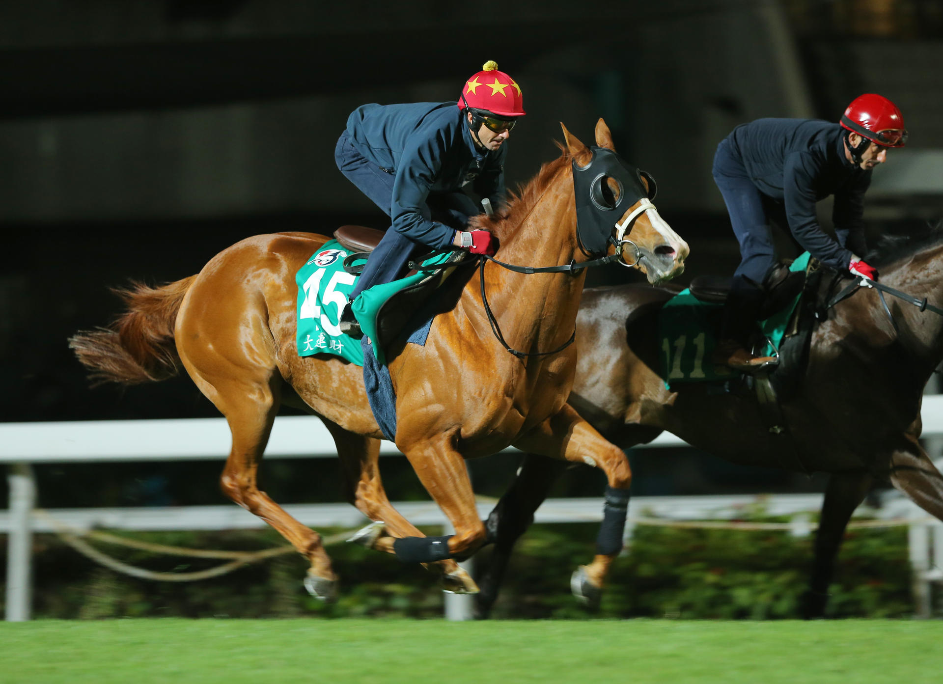 Gold-Fun gallops strongly alongside stablemate Great Charm on Tuesday morning. Photo: Kenneth Chan