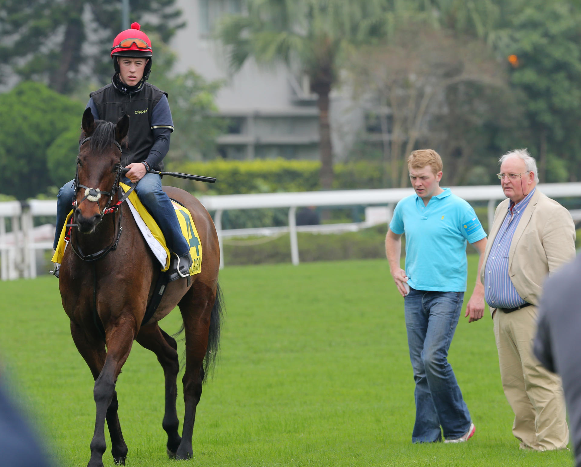 Trainer Tom Hogan (right) and assistant Eddie Power assess Gordon Lord Byron as he returns after a turf gallop. Photo: Kenneth Chan