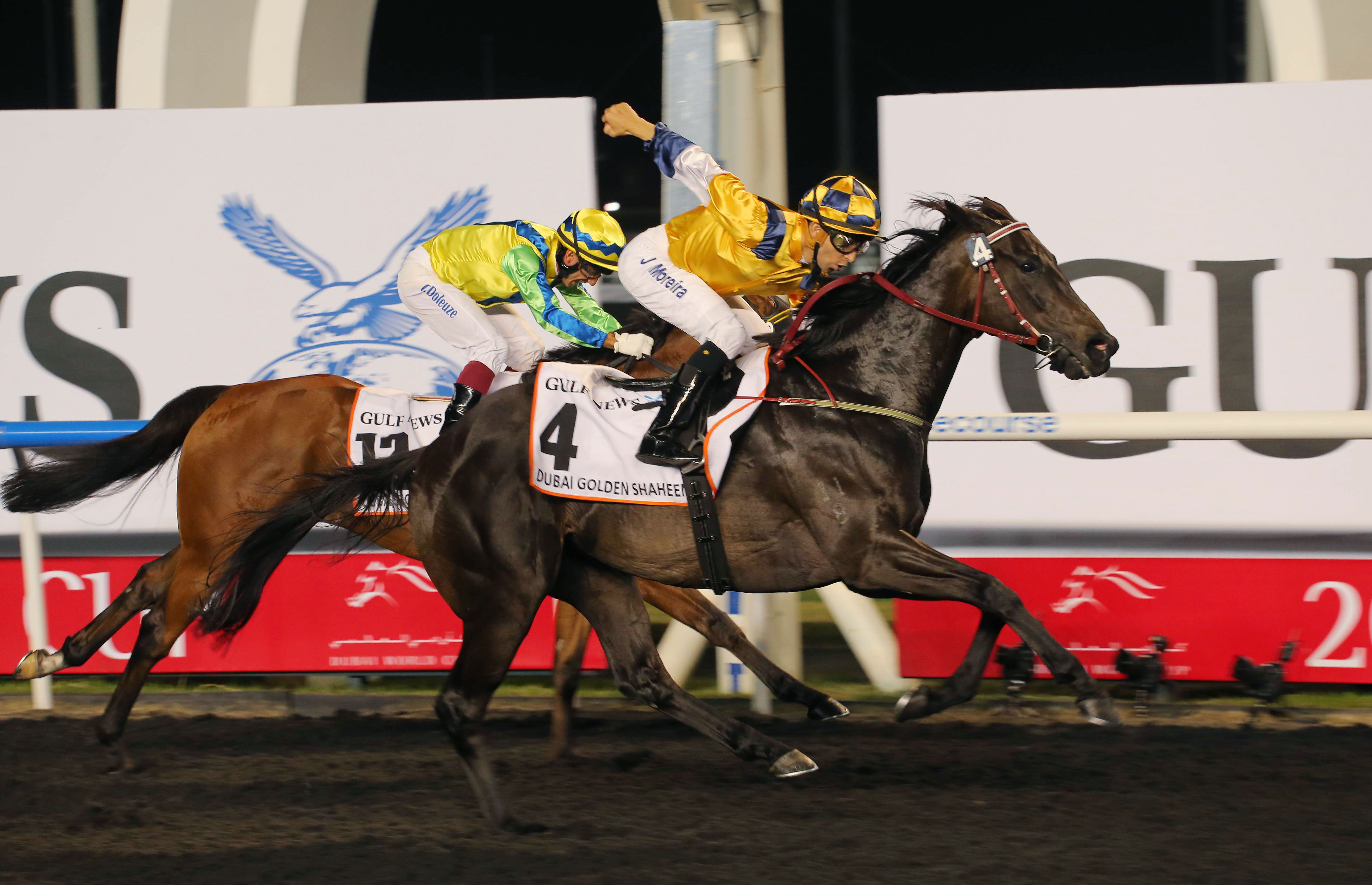 Sterling City wins the Golden Shaheen in Dubai, beating compatriot and American Grade One winner Rich Tapestry. Photo: Kenneth Chan