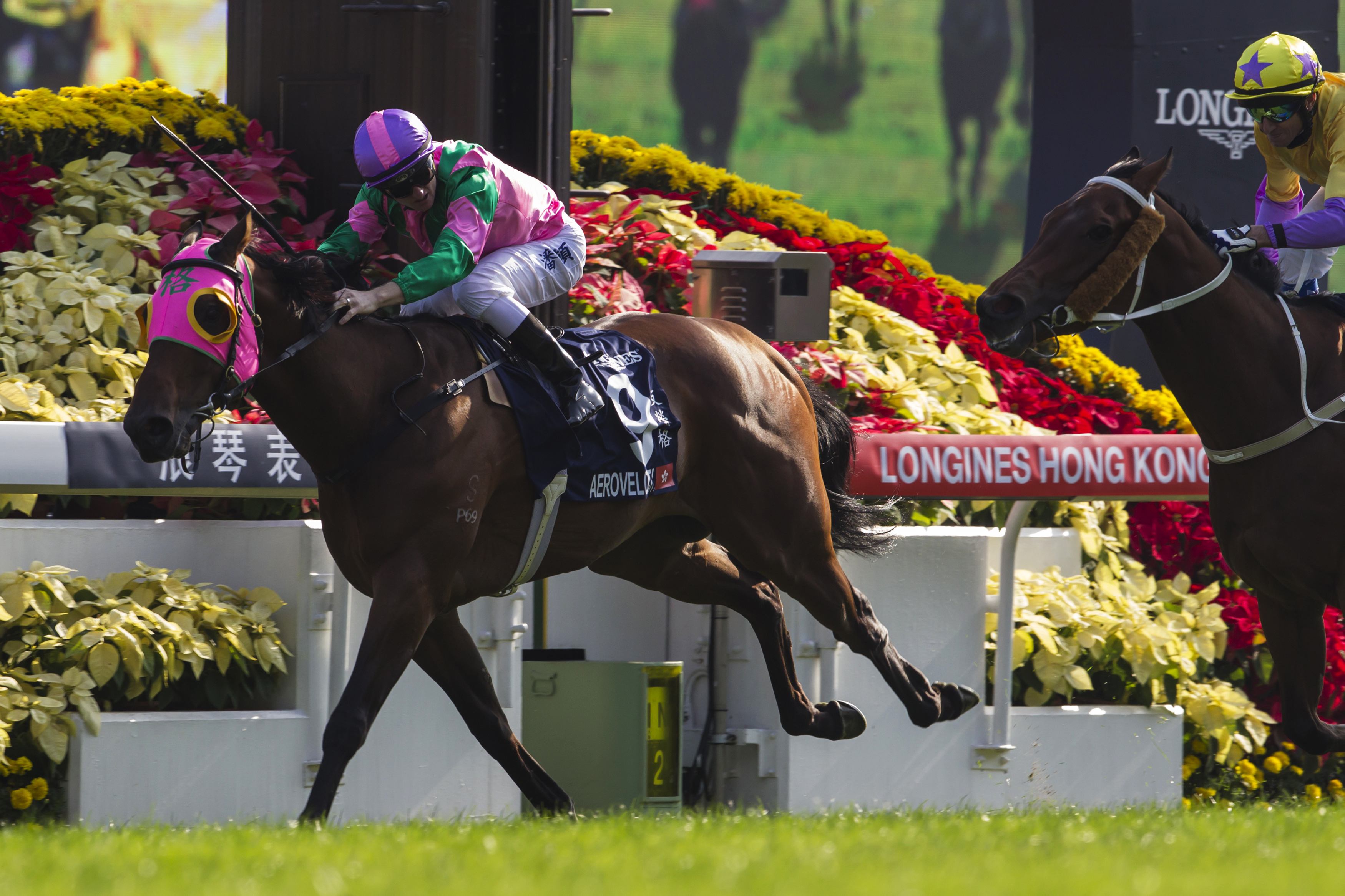 Aerovelocity (Zac Purton) leads all the way to beat favourite Pheniaphobia in the HK$18.5 million Hong Kong Sprint at Sha Tin racecourse. Photos: Reuters
