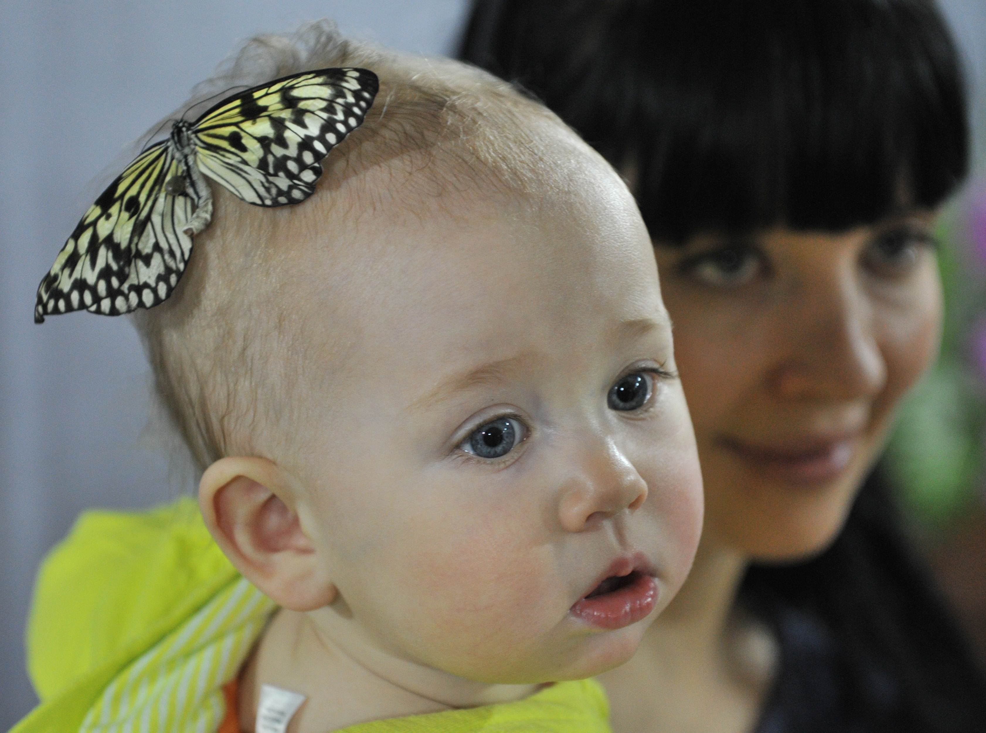 A butterfly lands on the head of a baby at an exhibition in Kyrgyzstan. Babies born today are expected to live longer than their parents. Photo: AFP