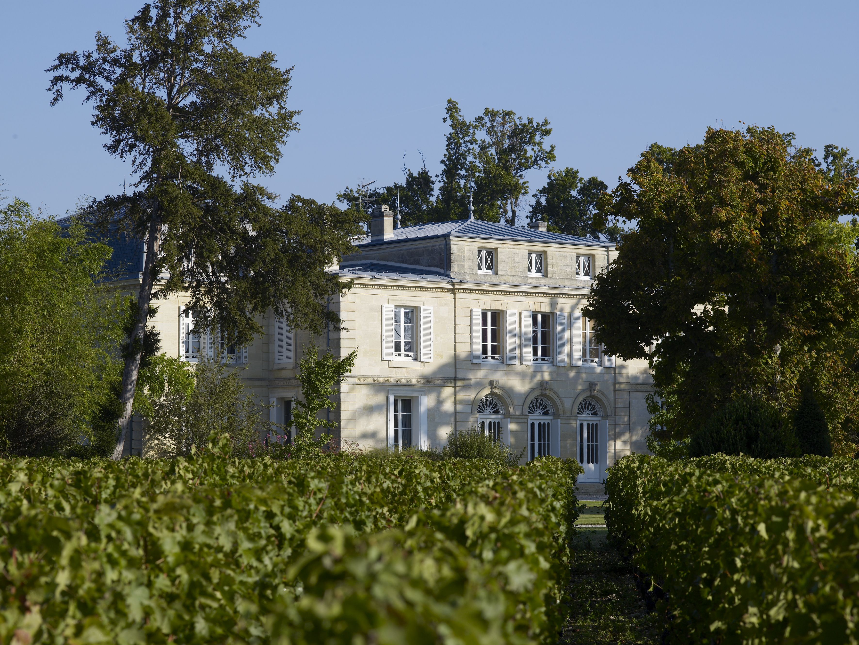 2005 wines from Medoc's left bank show a sense of restraint, with alcohol levels rarely exceeding 13.5 per cent by volume. 