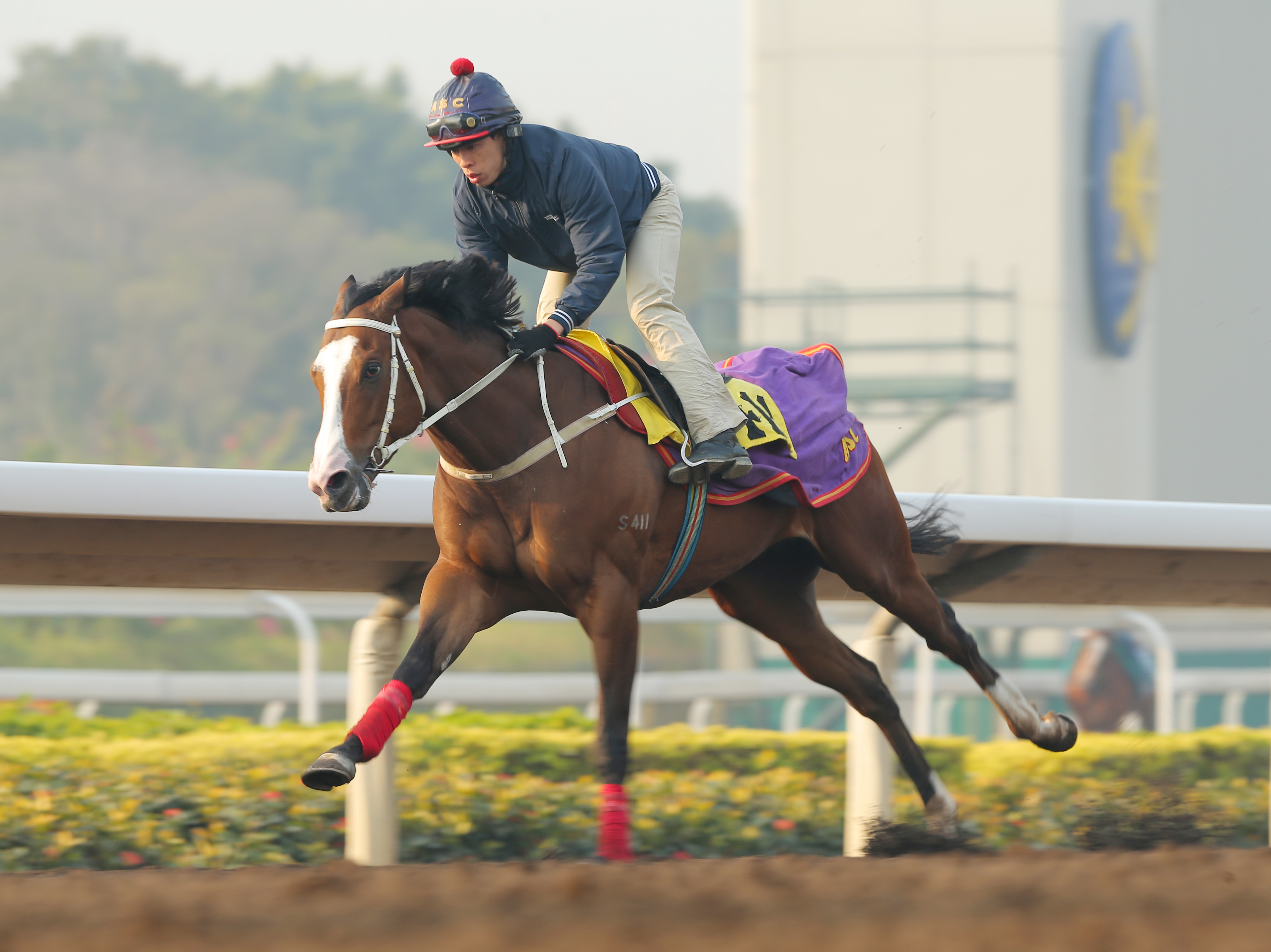 Beauty Only has sounded a warning with a strong turf gallop. Photo: Kenneth Chan