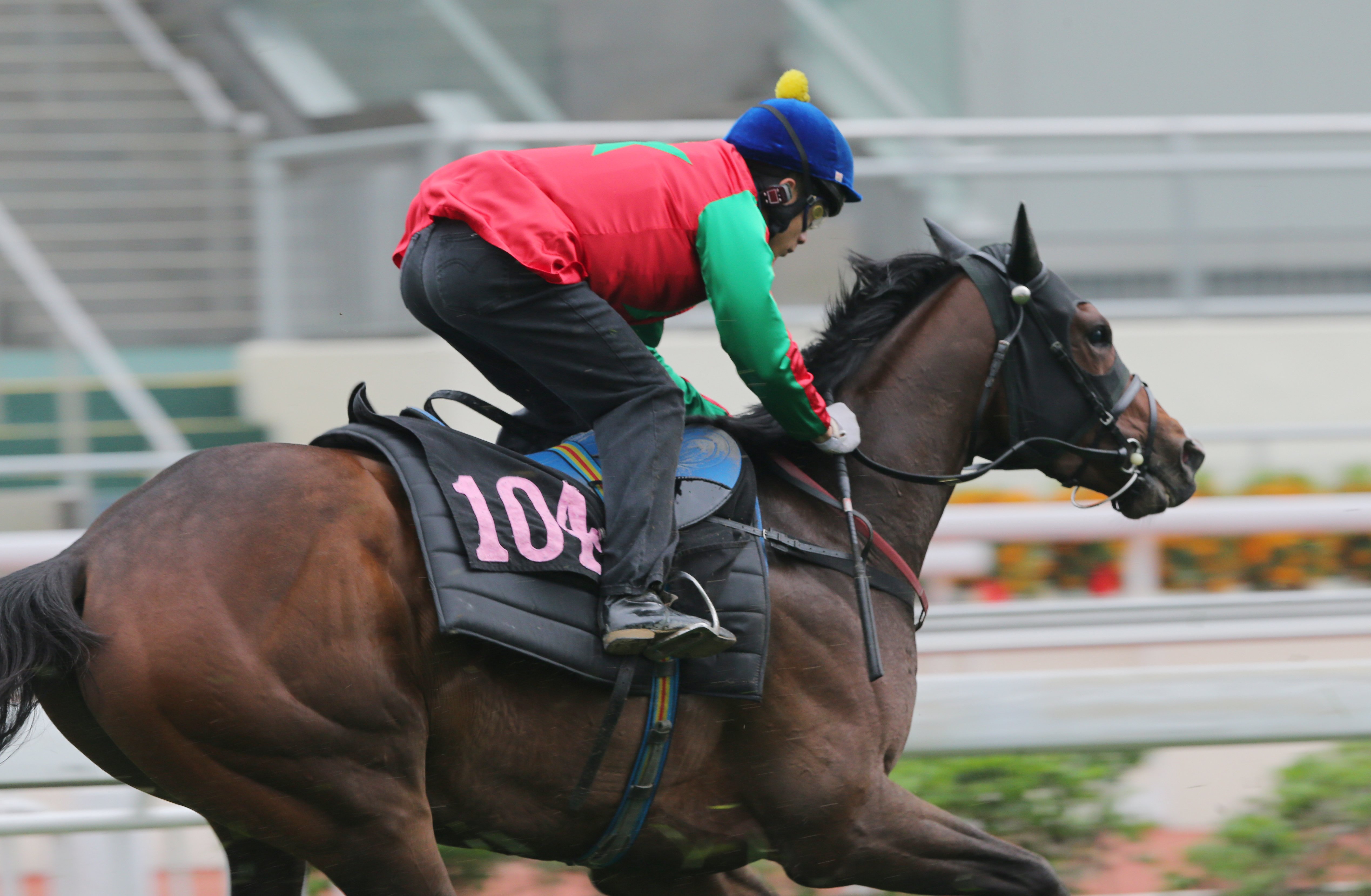 Helene Happy Star is trainer John Moore's only entry to saddle up for the BMW Hong Kong Derby. Photos: Kenneth Chan