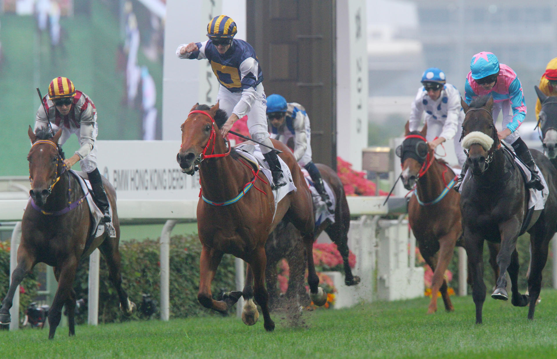 In a classy effort, Luger, ridden by Zac Purton, triumphs in the BMW Hong Kong Derby at Sha Tin. Photos: Kenneth Chan