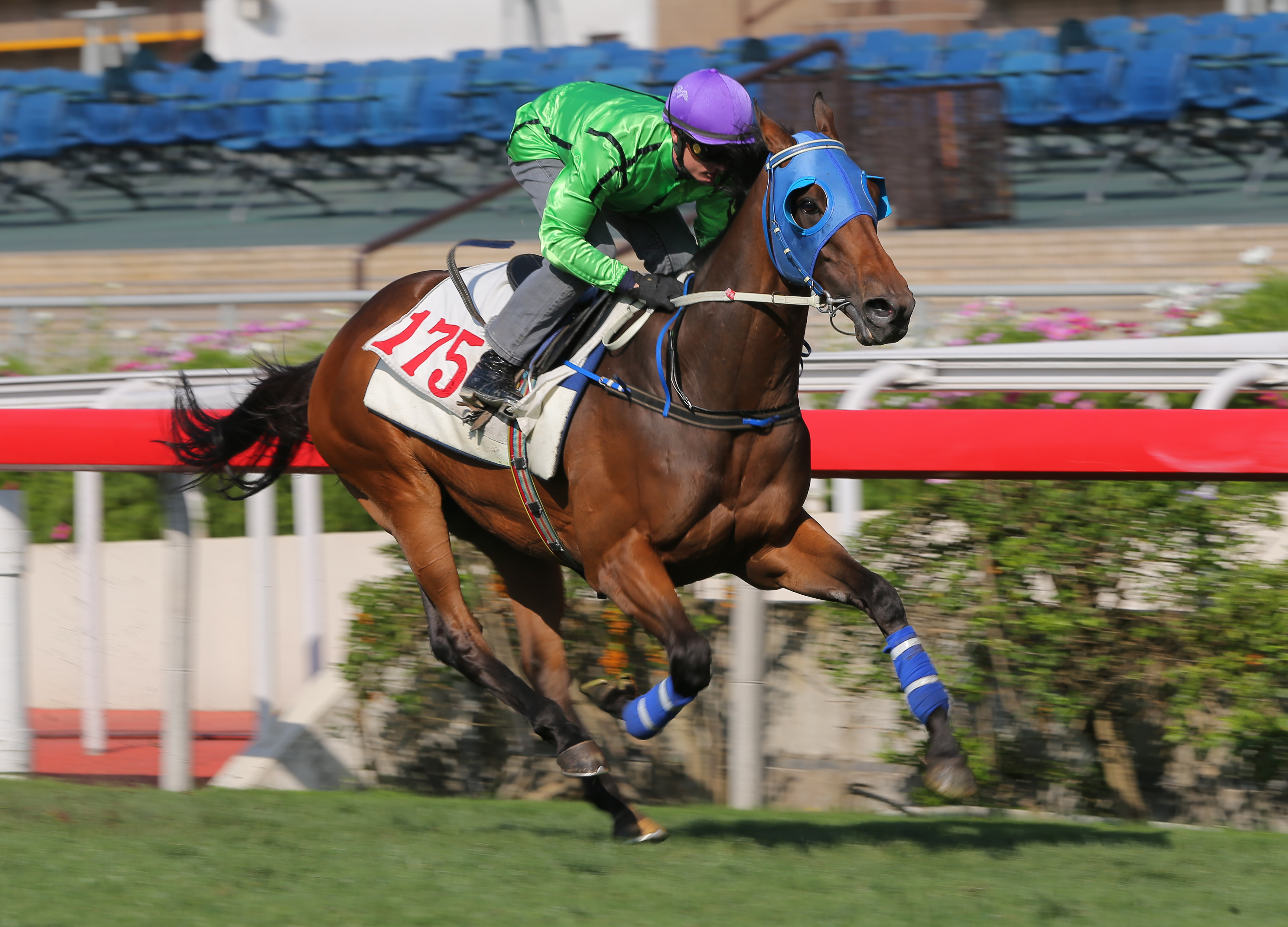 Military Attack cruises to the line to win a barrier trial at Sha Tin on Tuesday. Photos: Kenneth Chan