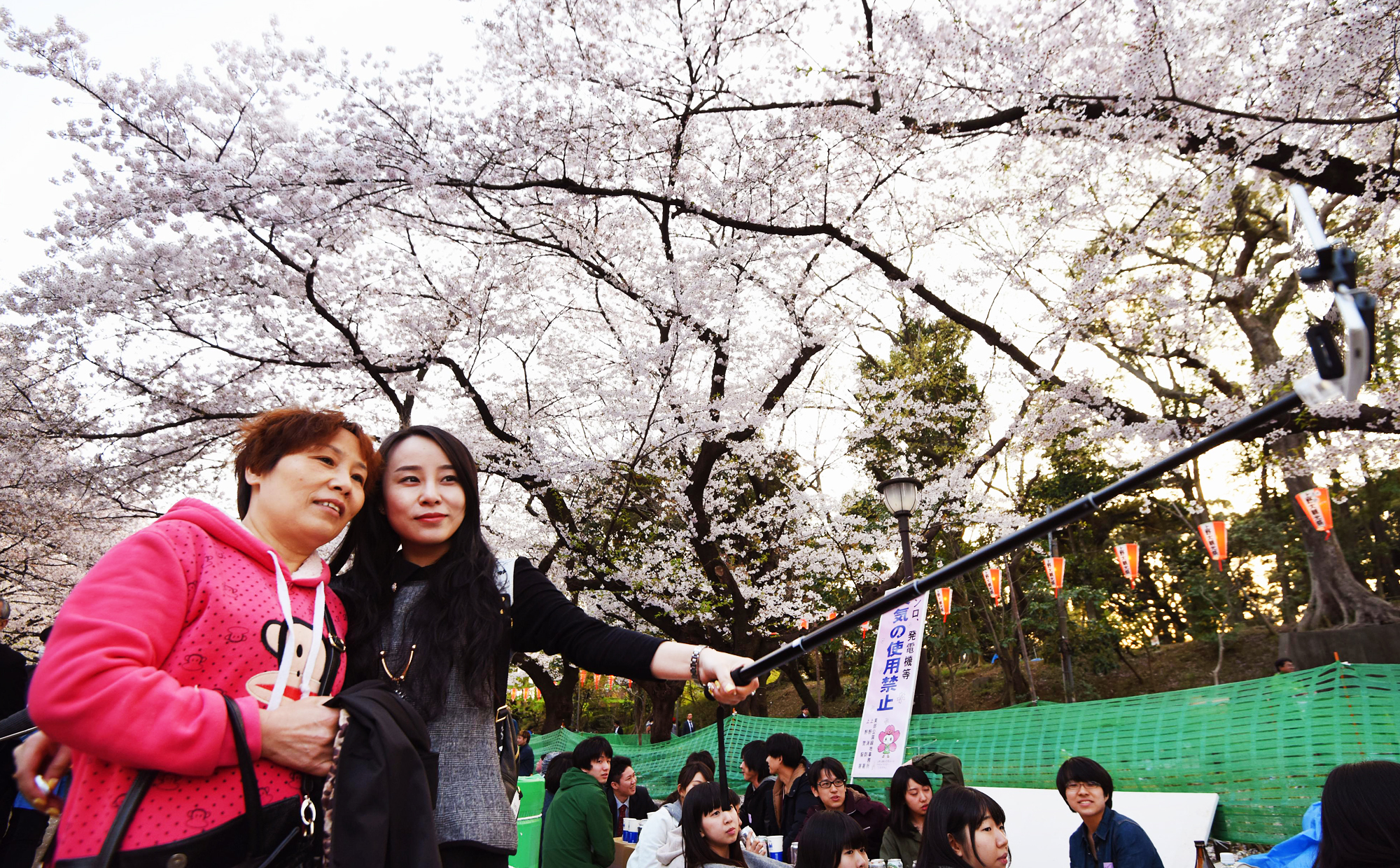 Japanese consulate officials in Shanghai issued a record number of visas in March to mainland travellers wishing to visit Japan to see cherry blossoms in bloom in April. Photo: Kyodo
