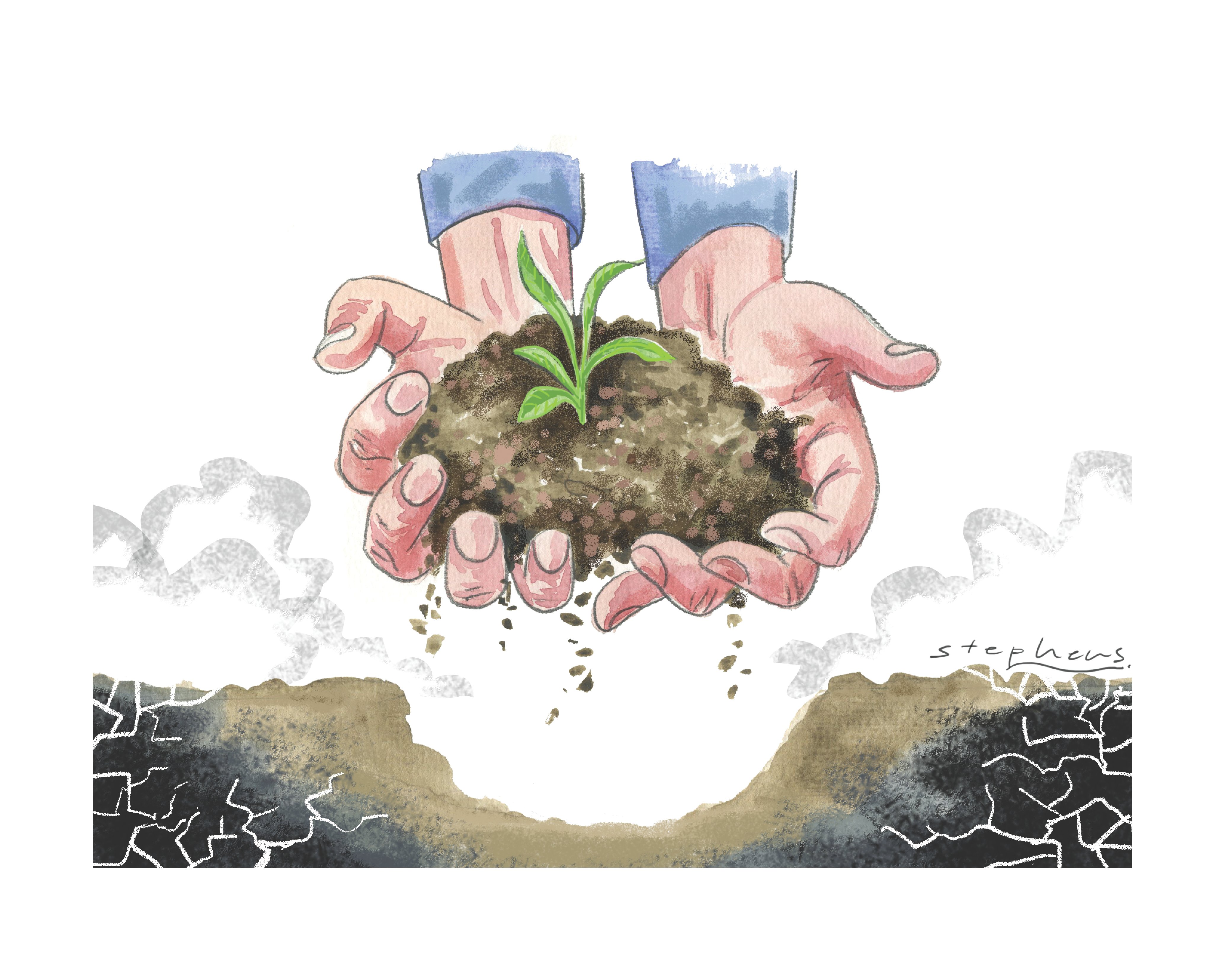 Soils filter water and store carbon; they are the cradle of life. 