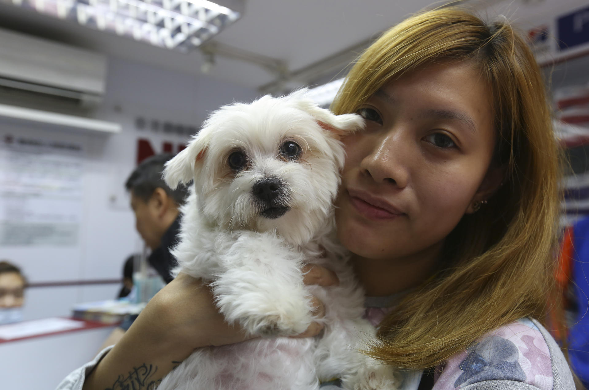 Vet fees a lottery in Hong Kong, pet owners complain - but vets hit back |  South China Morning Post