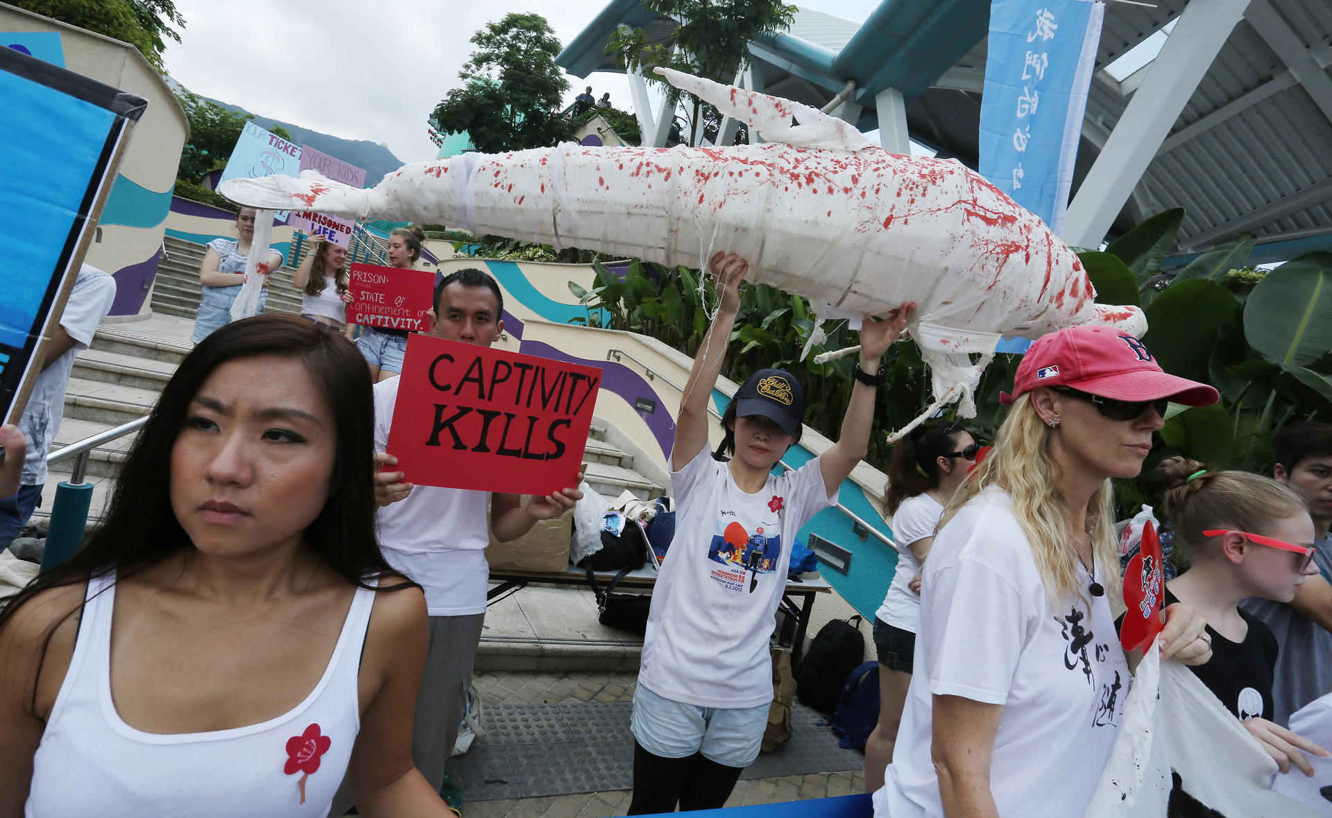 Protesters against using dolphins and other cetaceans in live shows for commercial purposes hold signs and a bloodied dolphin dummy at Ocean Park. Photo: Jonathan Wong