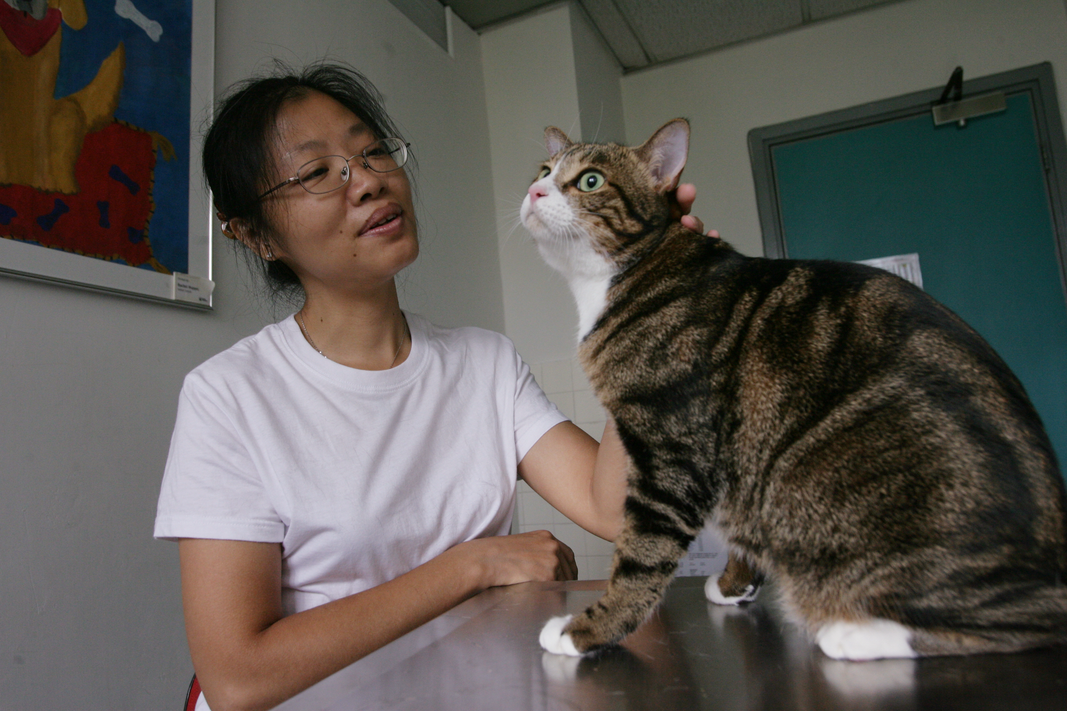 Yung Sau-chun with her cat Kau Chai, who was put on a weight-loss programme.
