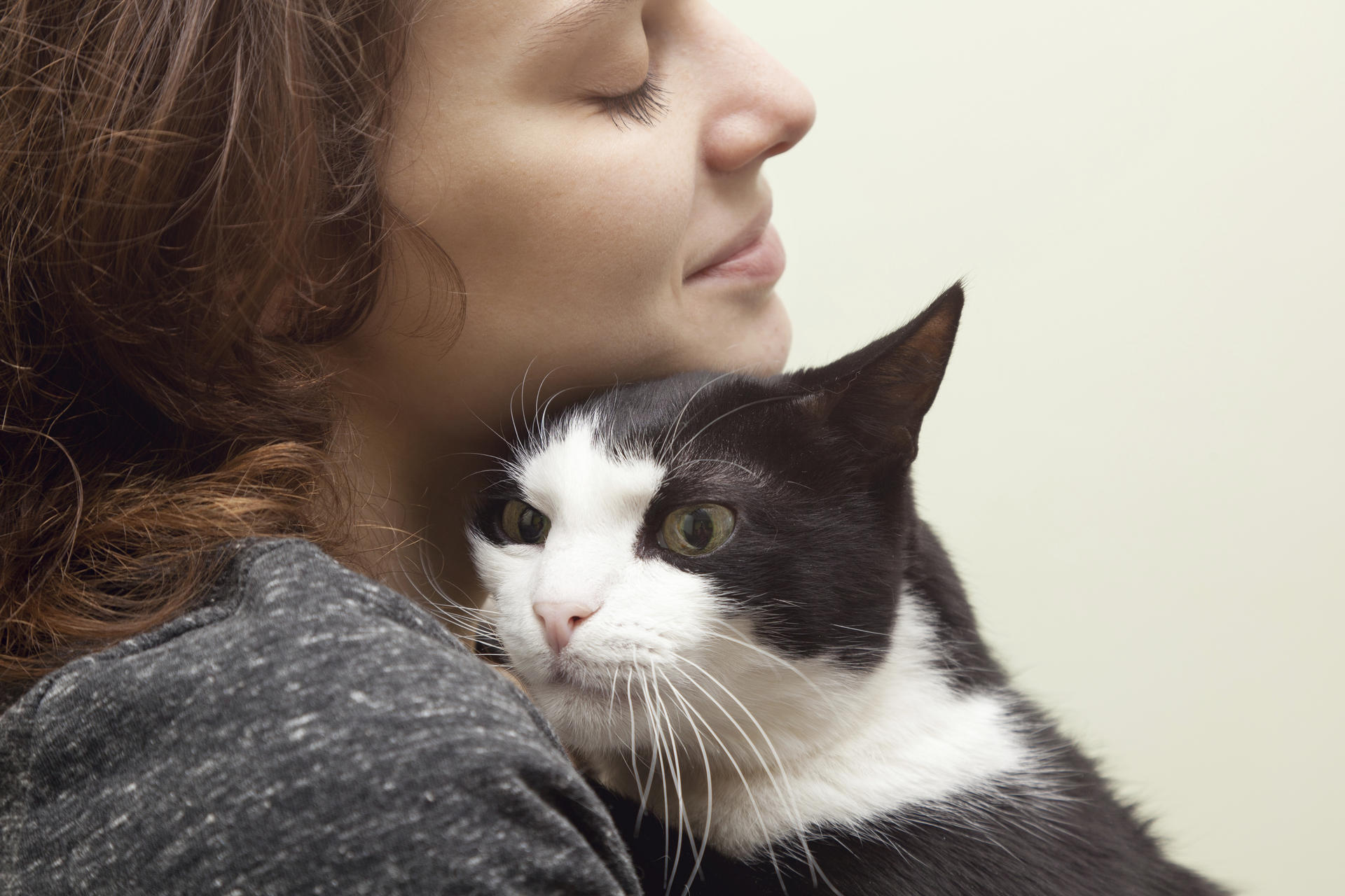 It's important for pet owners to get their animals accustomed to being handled by humans beyond petting, so that they can tolerate grooming and veterinary check-ups. Photos: Thinkstock