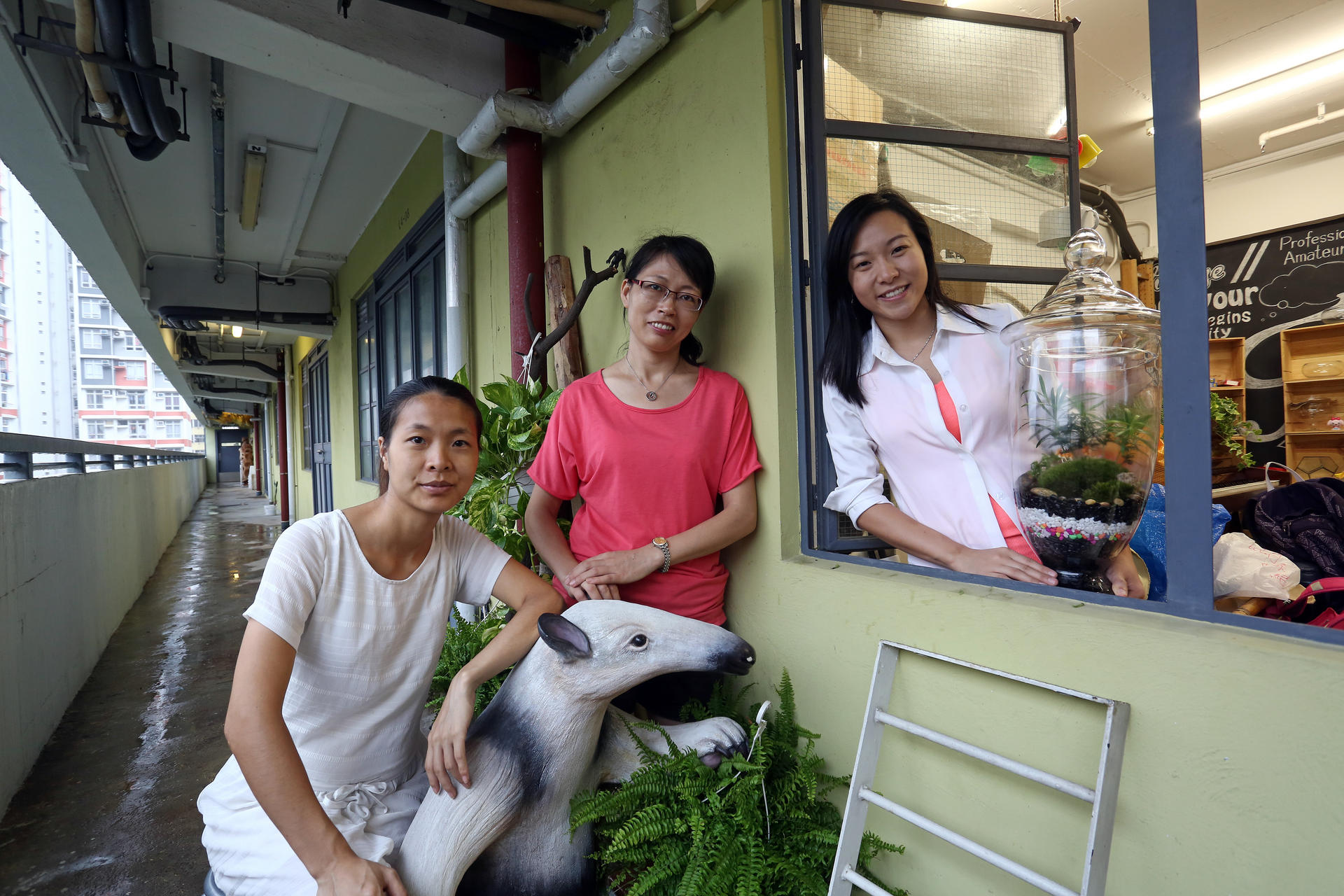 MicroForests trainees Zhu Siaofeng (left) and Sandy Wu (centre), with enterprise founder Rainbow Chow. Photos: Jonathan Wong