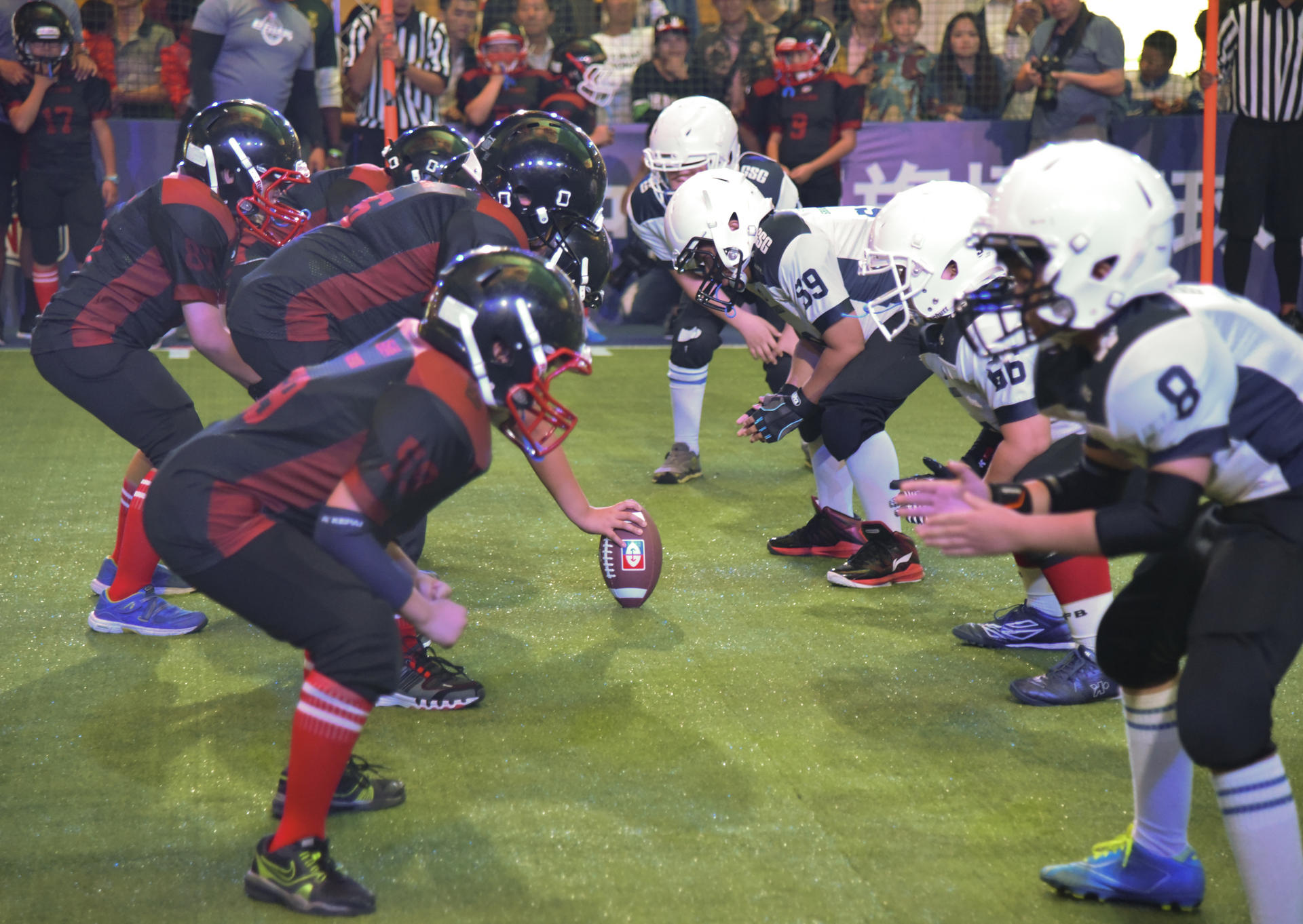 The Vipers (left) and Sharks square off.
