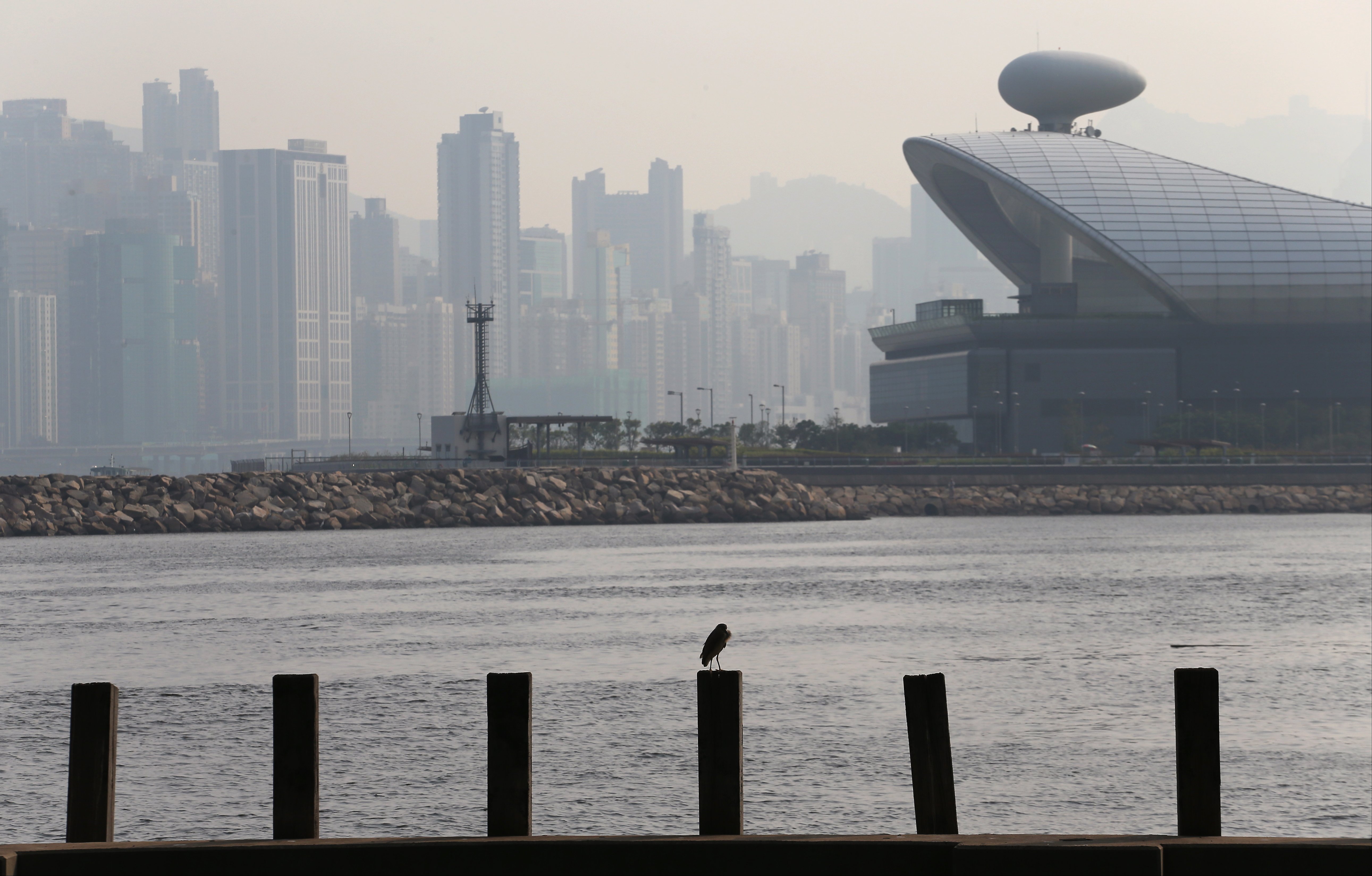The Kai Tak cruise terminal will get a new neighbour. Photo: Felix Wong 
