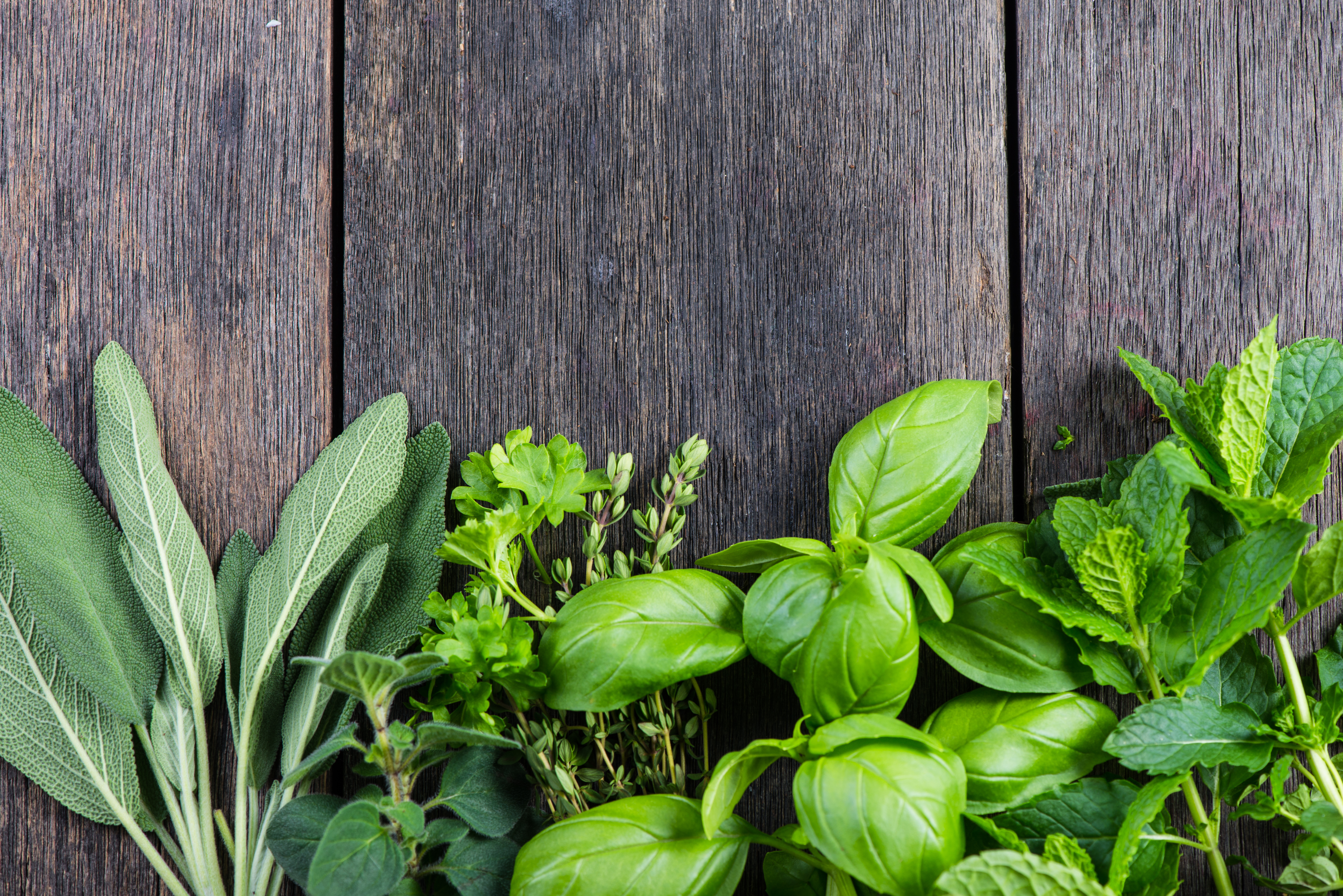 Herbs are easy to grow and are good for your health and wellbeing.