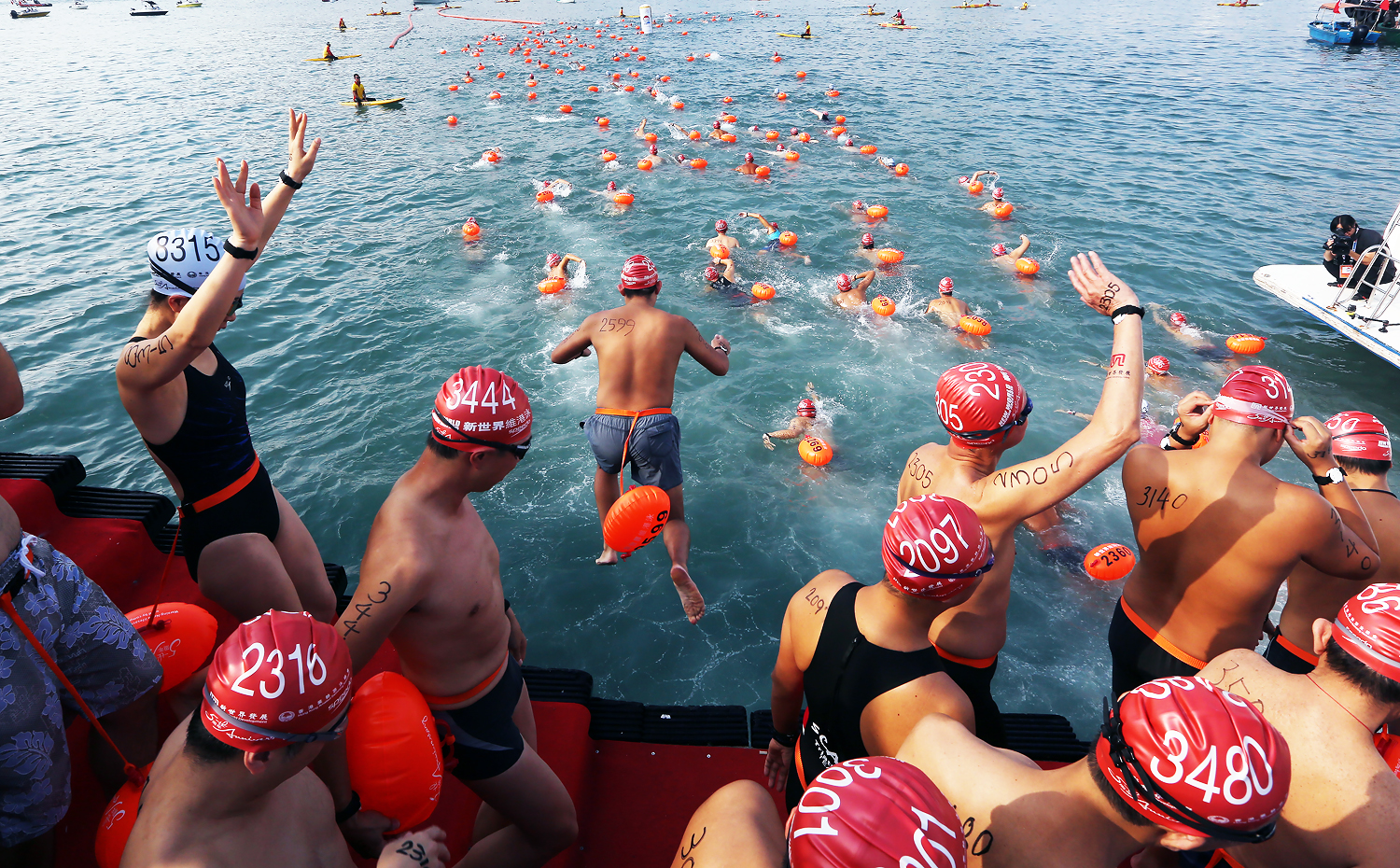 Swimmers dive in for the 2015 Harbour Race. Photo: Sam Tsang