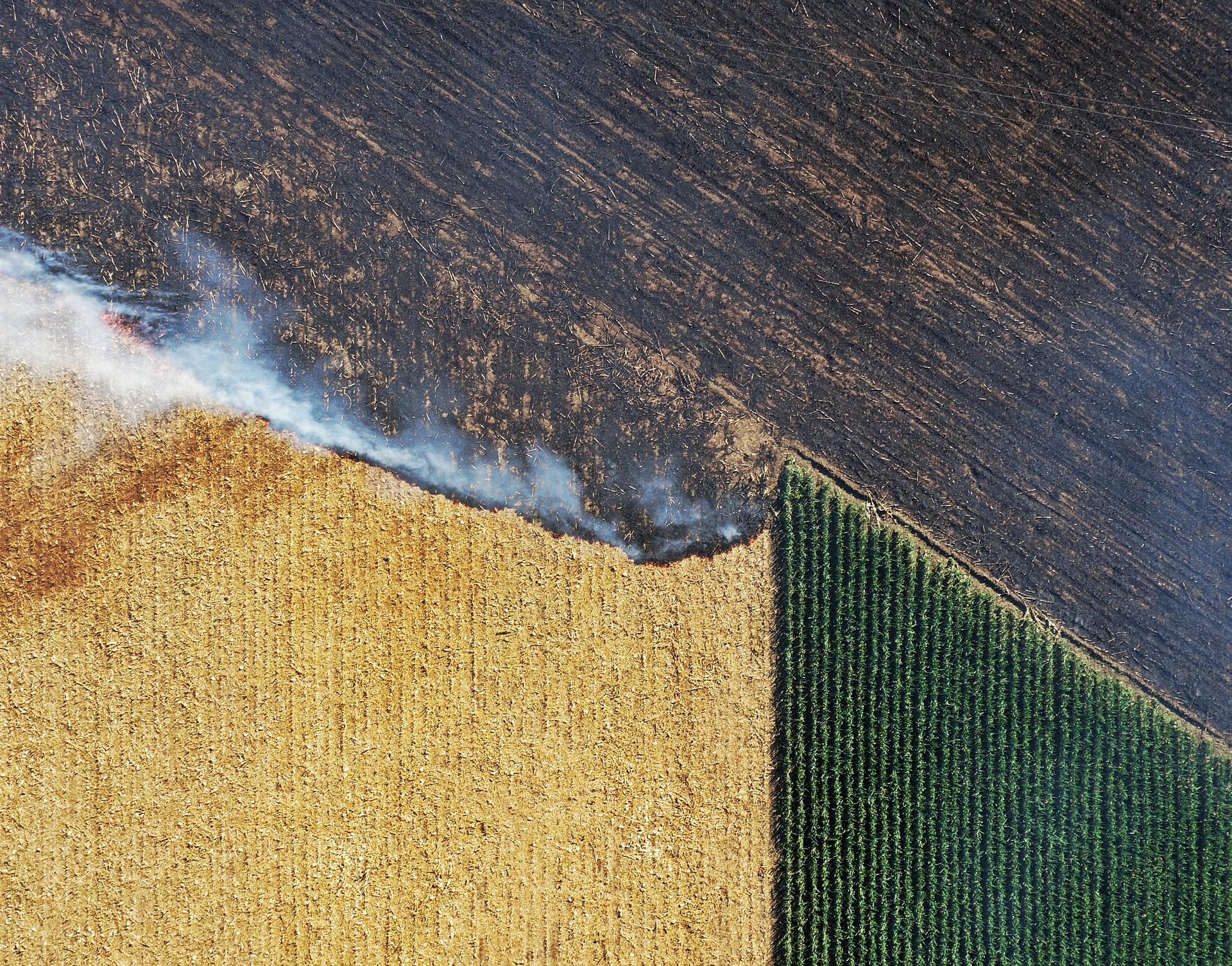 A picture taken by a drone shows burning stubble in Hebei province. Photo: ChinaFotoPress