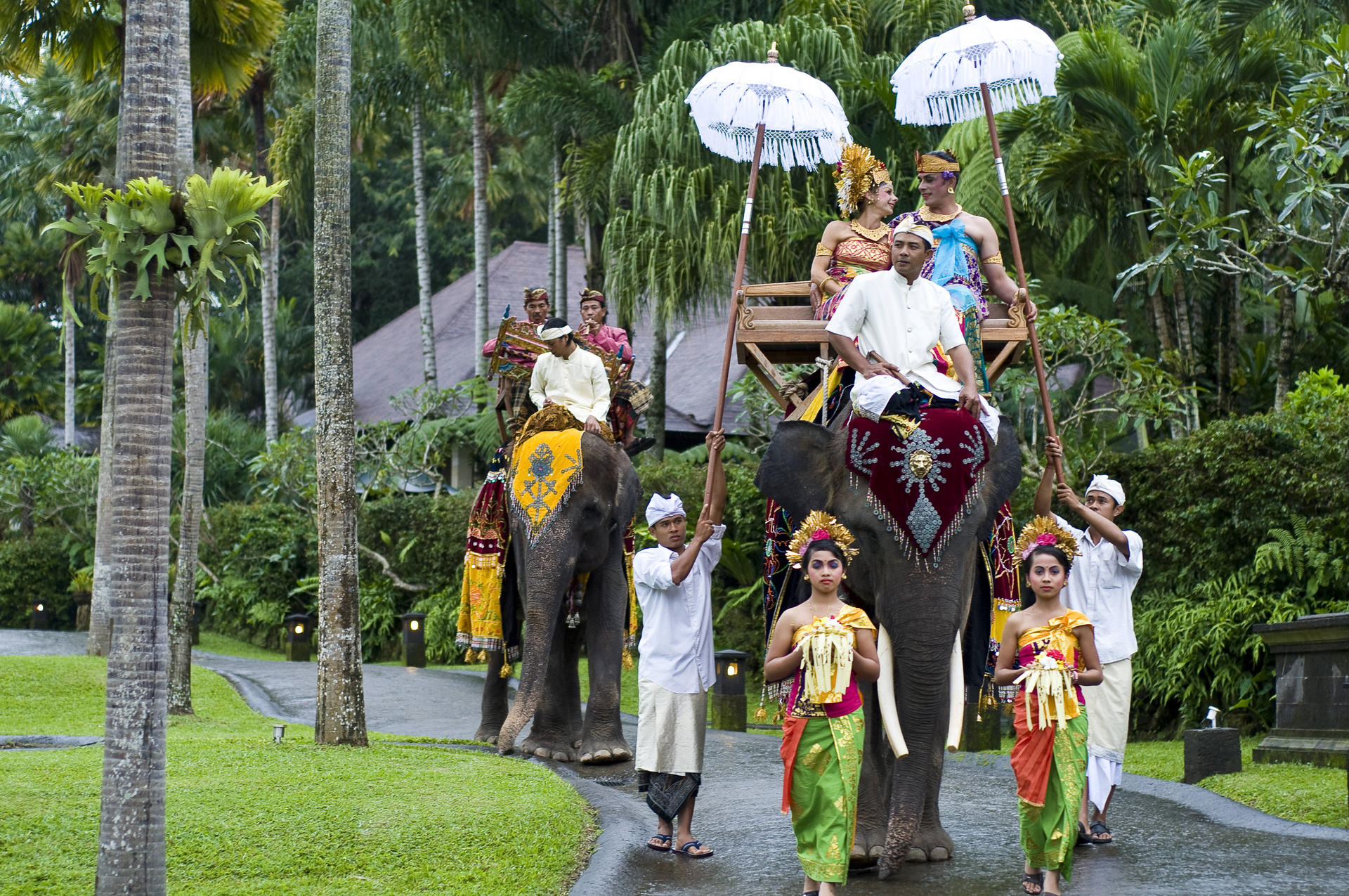 Elephants can make weddings in Bali a memorable spectacle.
