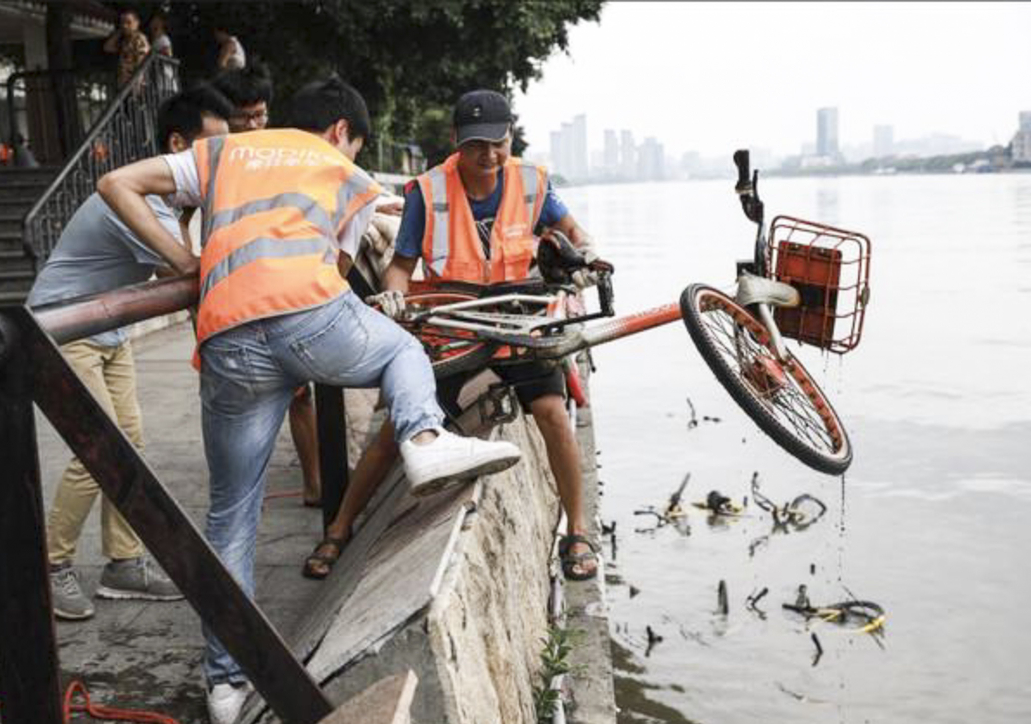 mobike two bikes one account