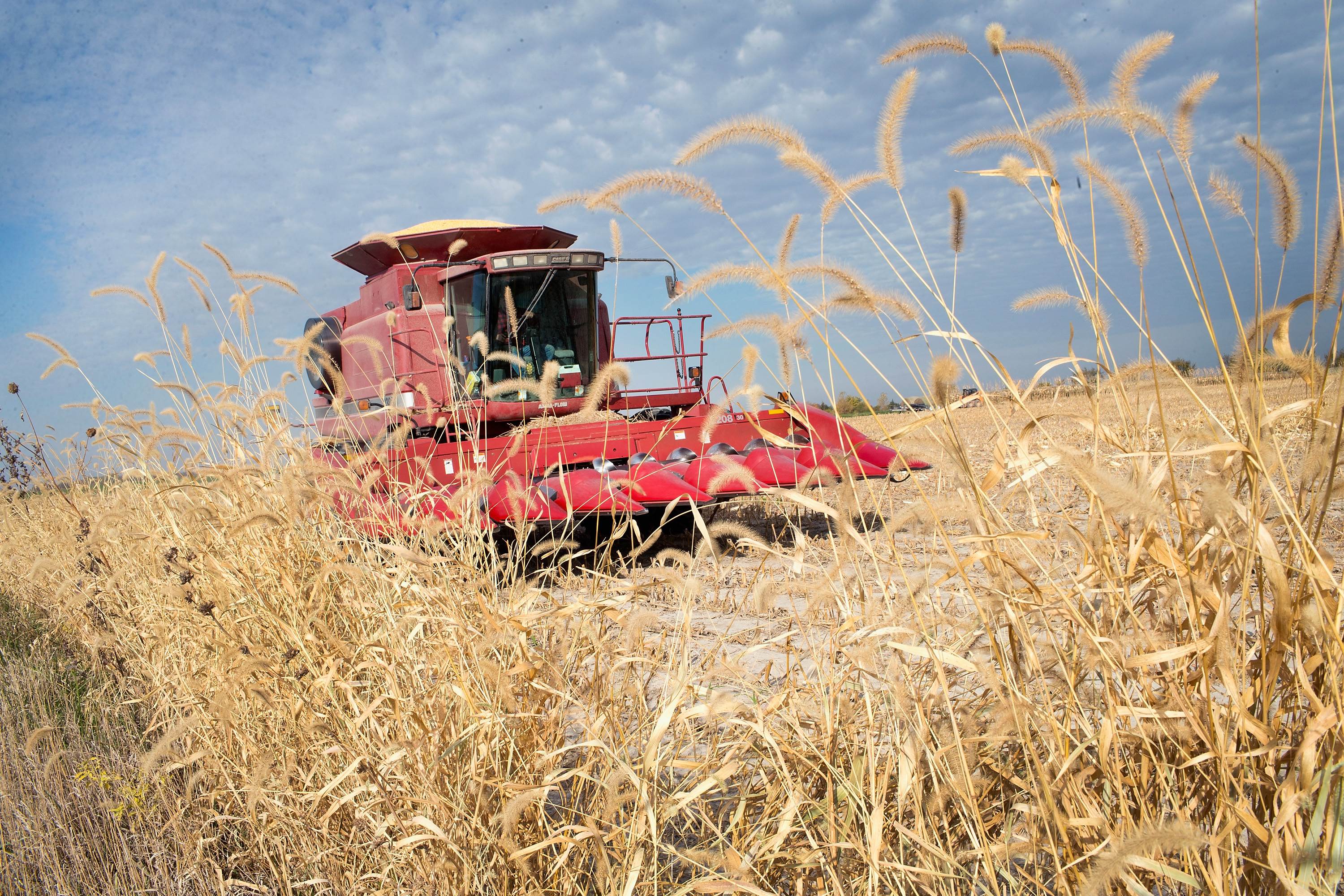BURLINGTON, IA - OCTOBER 22: Rick Wirt harvests corn on October 22, 2015 near Burlington, Iowa. Wirt and his daughter Krista Kempker farm more than 2,000 acres in th area. According to the National Corn Growers Association, the overall corn crop is on track to have the 2nd highest average yield on record Scott Olson/Getty Images/AFP == FOR NEWSPAPERS, INTERNET, TELCOS & TELEVISION USE ONLY ==