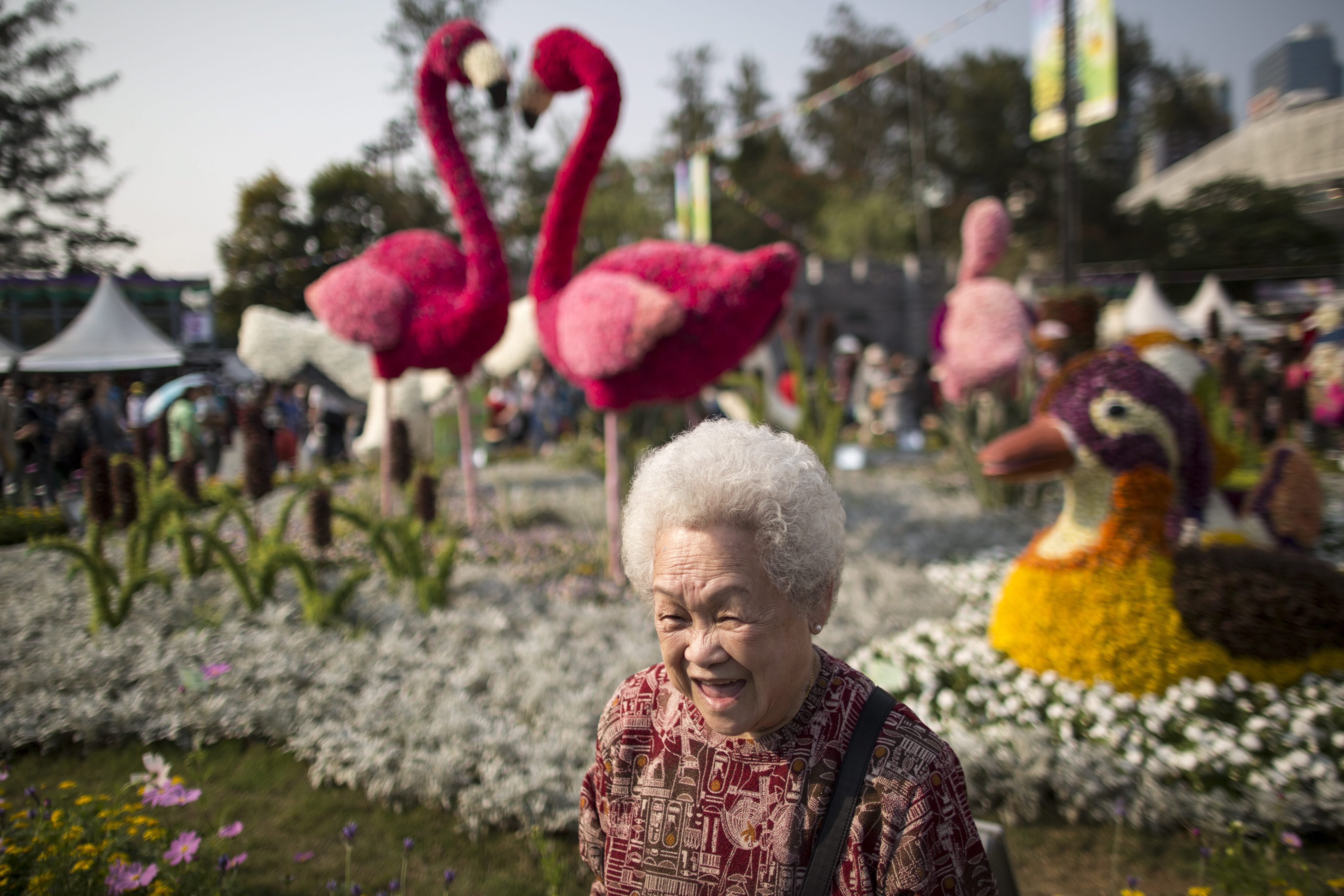 epaselect epa04670882 An elderly woman walks past flower arrangements on display during the Hong Kong Flower Show in Victoria Park, Hong Kong, China, 20 March 2015. The Hong Kong Flower Show runs until March 29. EPA/JEROME FAVRE
