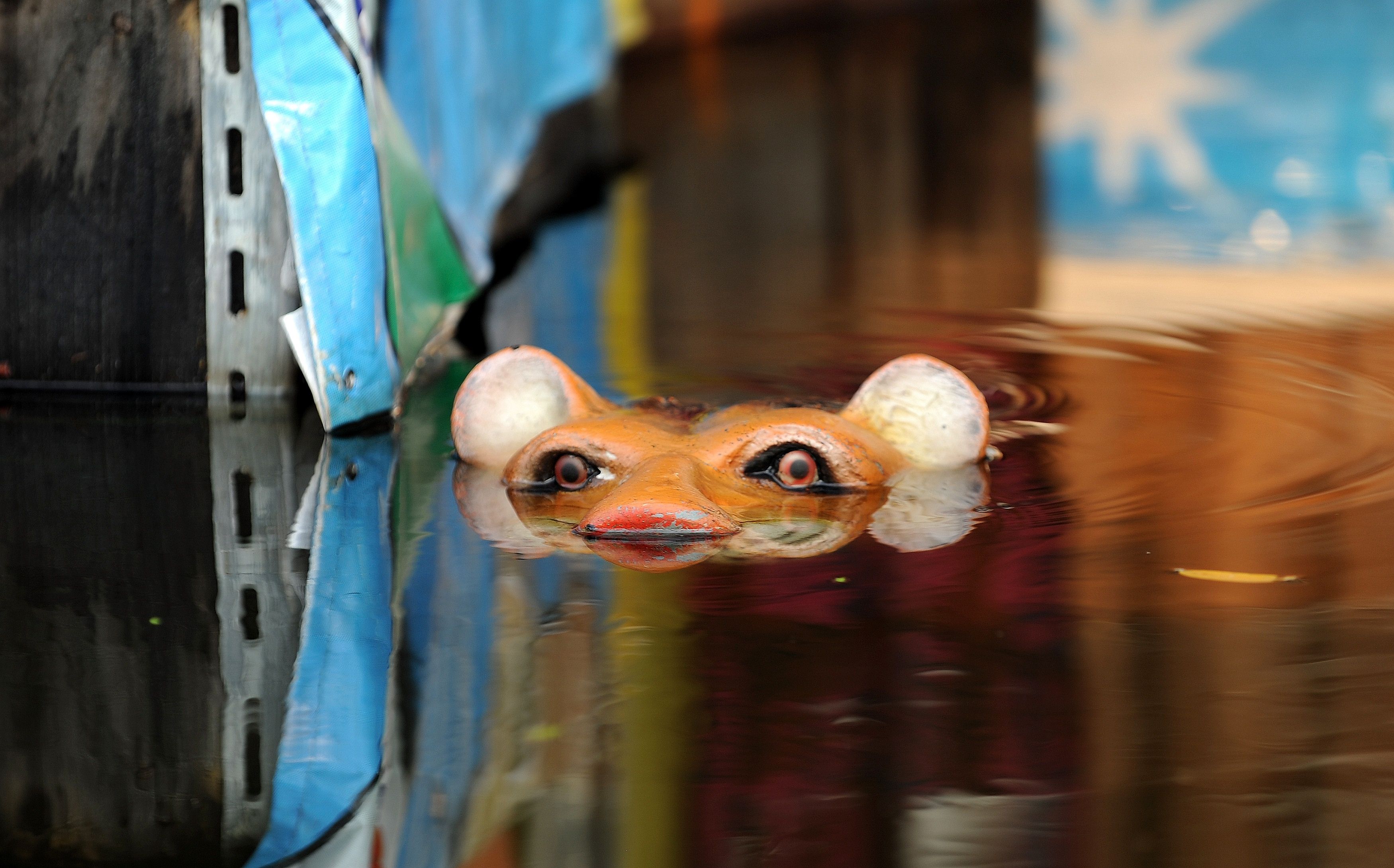 The eyes and nose of a tiger sculpture are seen in the flood waters in Bangkok on November 7, 2011. According to experts Thai capital, built on swampland, is slowly sinking and the floods currently besieging Bangkok could be merely a foretaste of a grim future as climate change makes its impact felt. AFP PHOTO/ SAEED KHAN