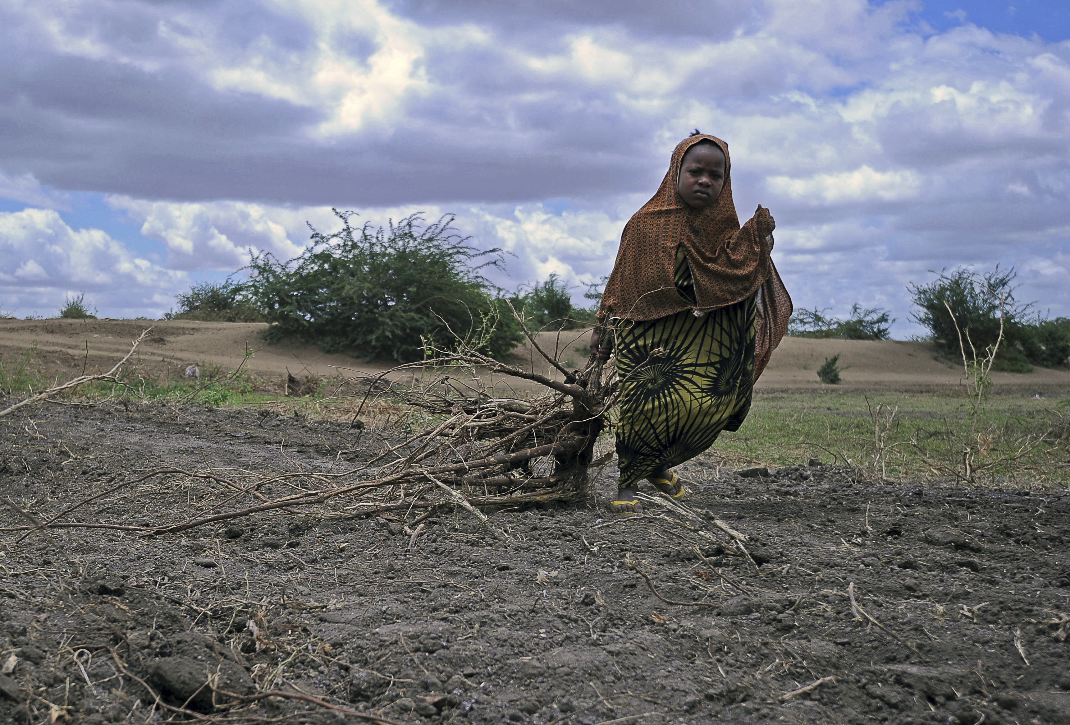 A Somali girl drags bundles of firewood for use as fuel for cooking on October 8,2015 in Jowhar town, some 90km north of the Somalis capital Mogadishu. AFP PHOTO/MOHAMED ABDIWAHAB