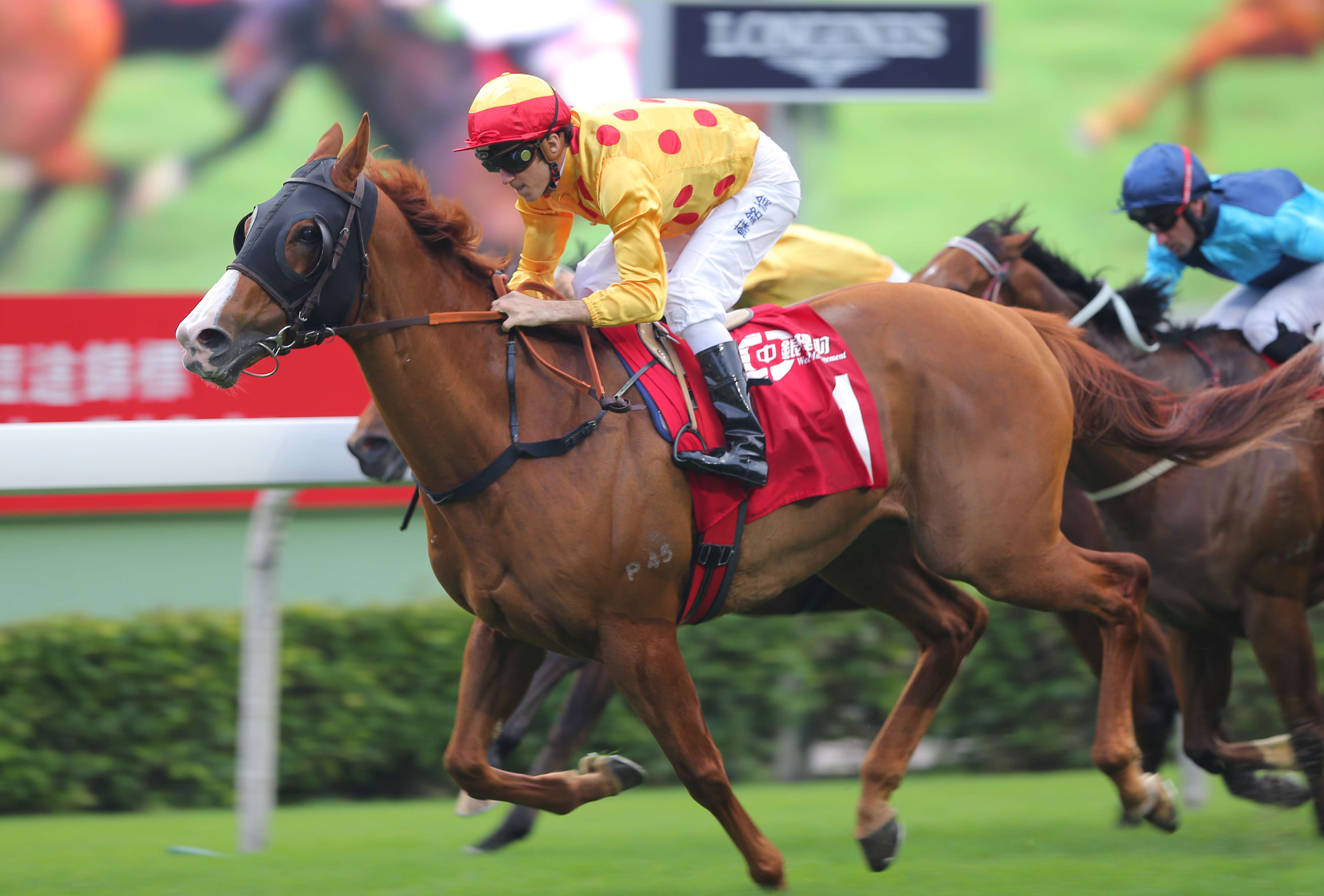 Christophe Soumillon will reunite with Gold-Fun in the Diamond Jubilee Stakes at Royal Ascot on Saturday. Photo: Kenneth Chan
