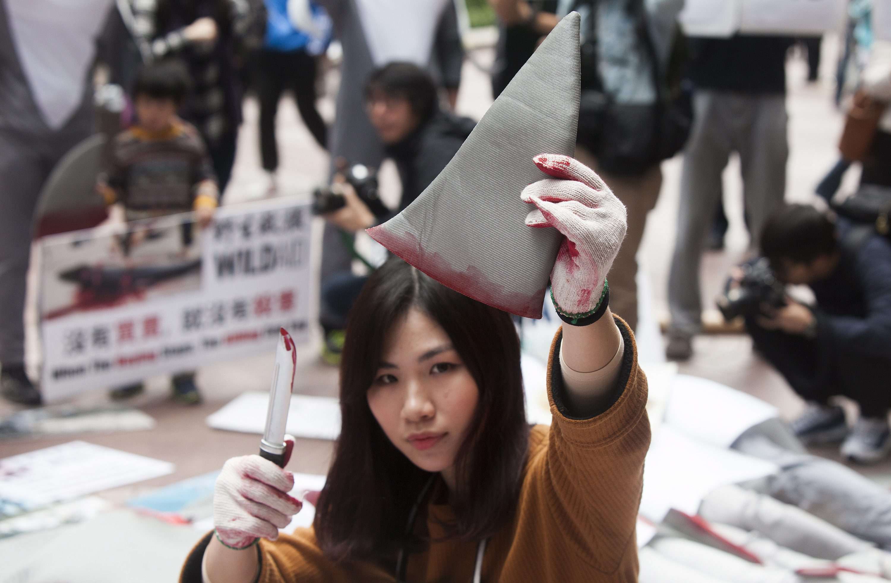 Activists in Hong Kong protest against the consumption of shark fin, during a demonstration earlier this year. Photo: EPA