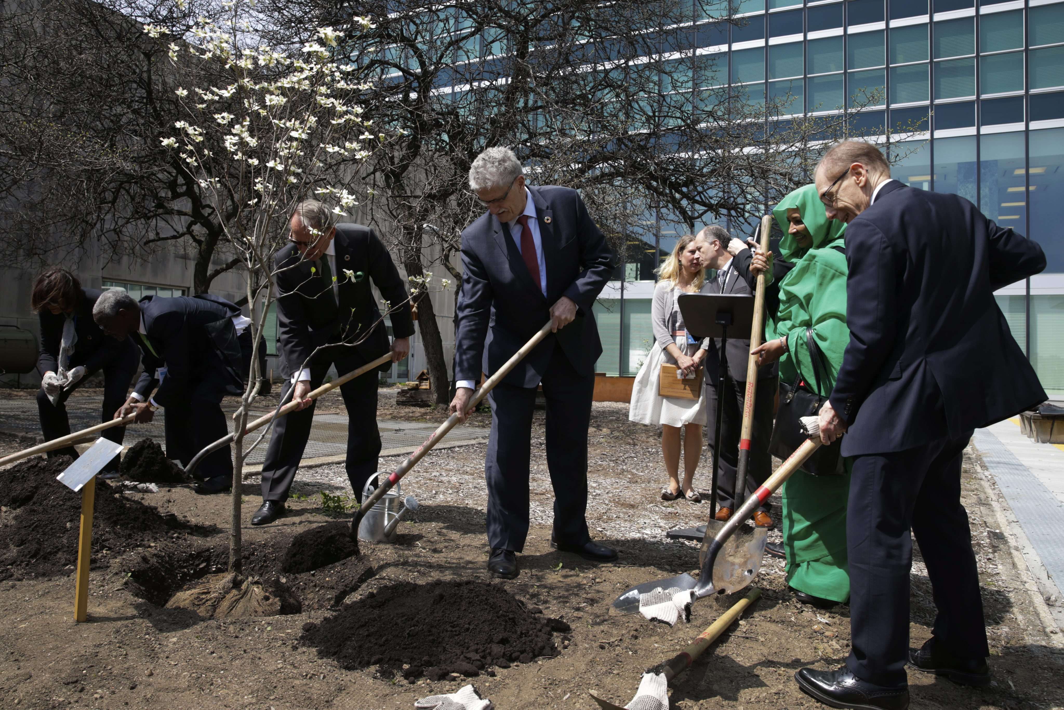 United Nations diplomats plant trees in the UN Food Garden on the occasion of Earth Day and the signing of the Paris agreement on climate change. Photo: EPA